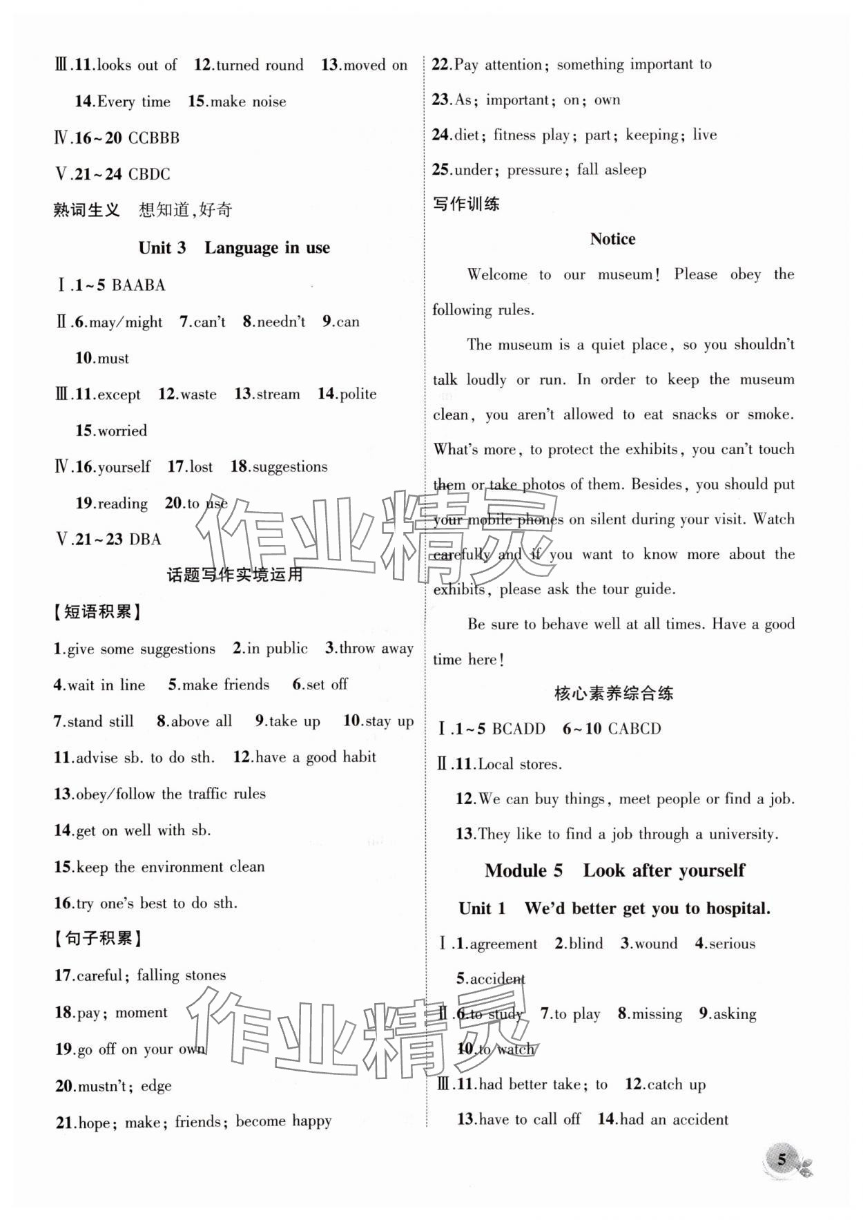 2025年創新課堂創新作業本九年級英語下冊外研版 第5頁