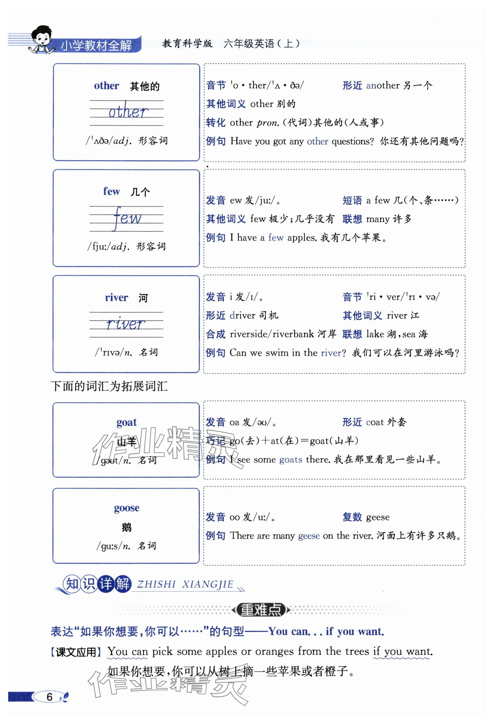 2024年教材課本六年級(jí)英語(yǔ)上冊(cè)教科版 參考答案第6頁(yè)