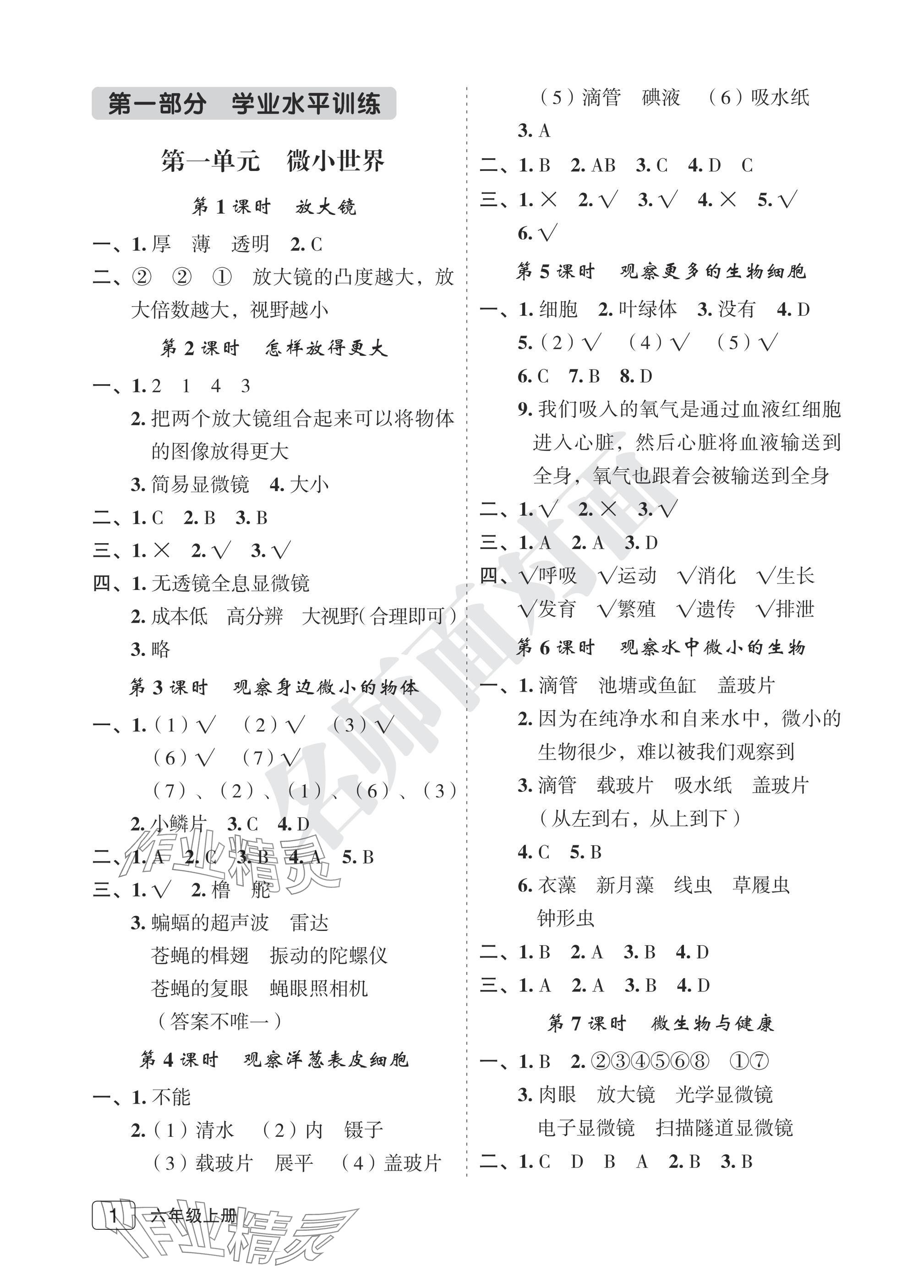 2025年名师面对面先学后练六年级科学上册教科版评议教辅 参考答案第1页
