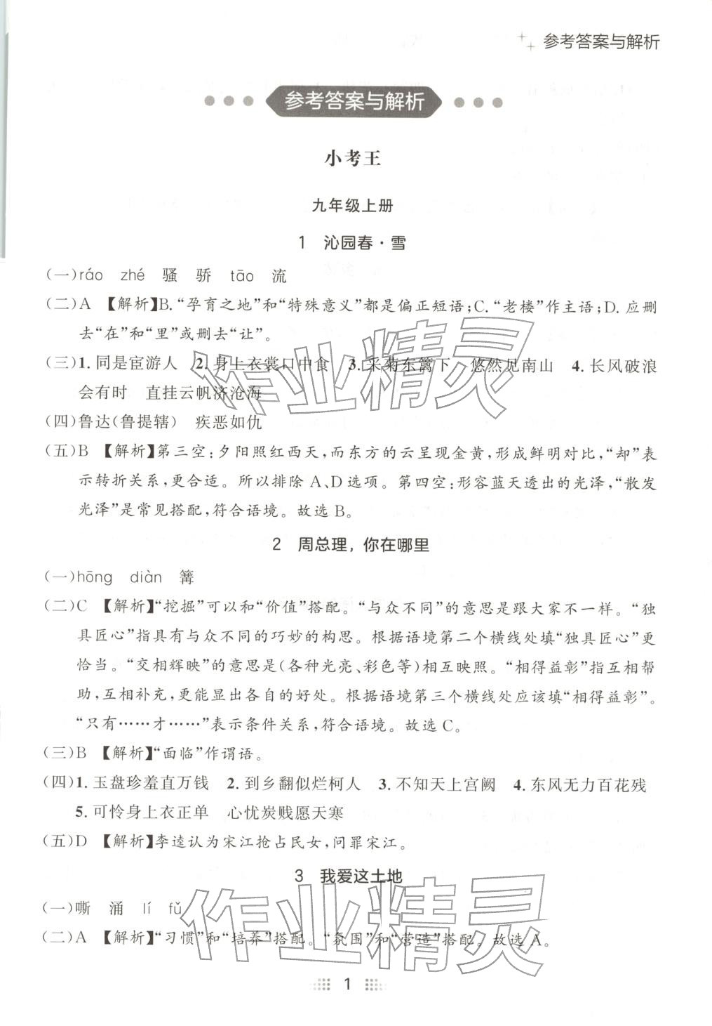 2025年点石成金金牌夺冠九年级语文全一册人教版辽宁专版&nbsp;第1页