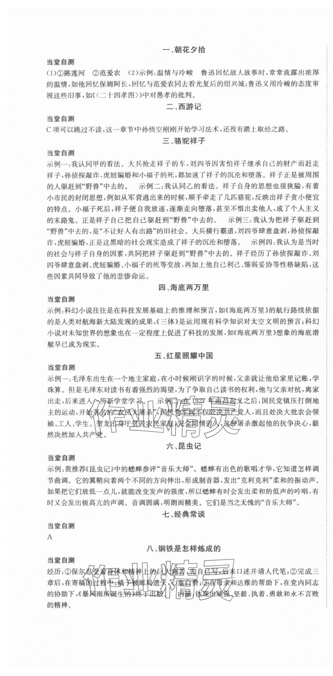 2024年國華圖書架構中考語文貴州專版 第4頁