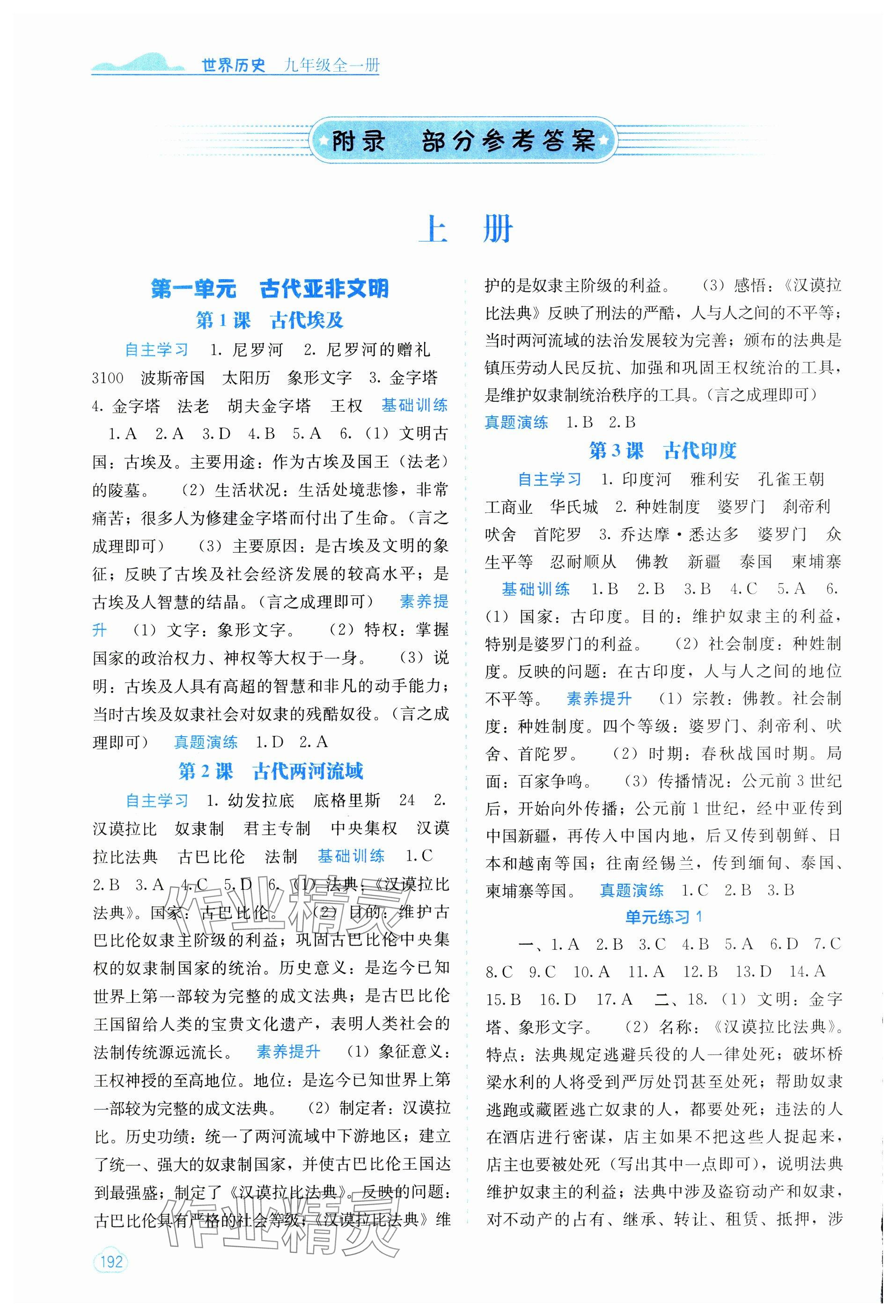 2024年自主學(xué)習(xí)能力測(cè)評(píng)九年級(jí)歷史全一冊(cè)人教版 參考答案第1頁