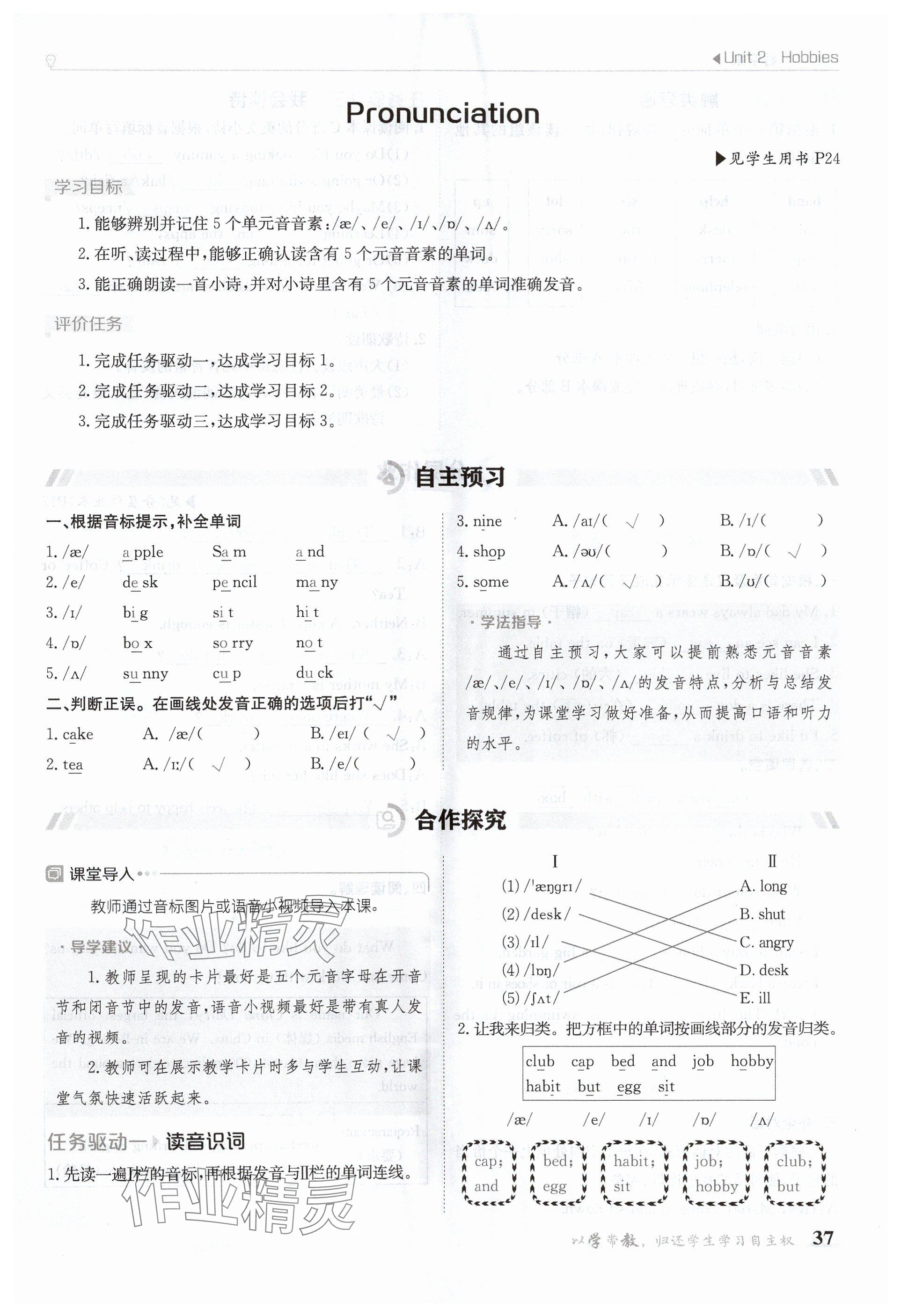 2024年金太阳导学案七年级英语上册译林版 参考答案第37页