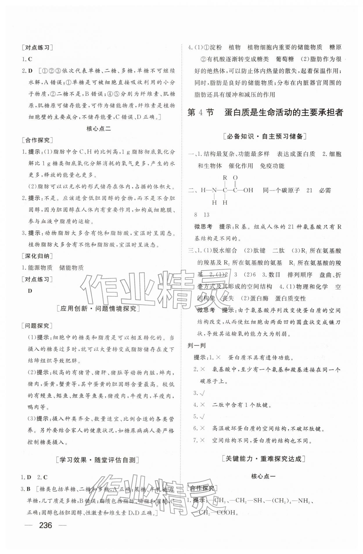 2025年同步练习册大象出版社高中生物必修第一册人教版A&nbsp;参考答案第6页
