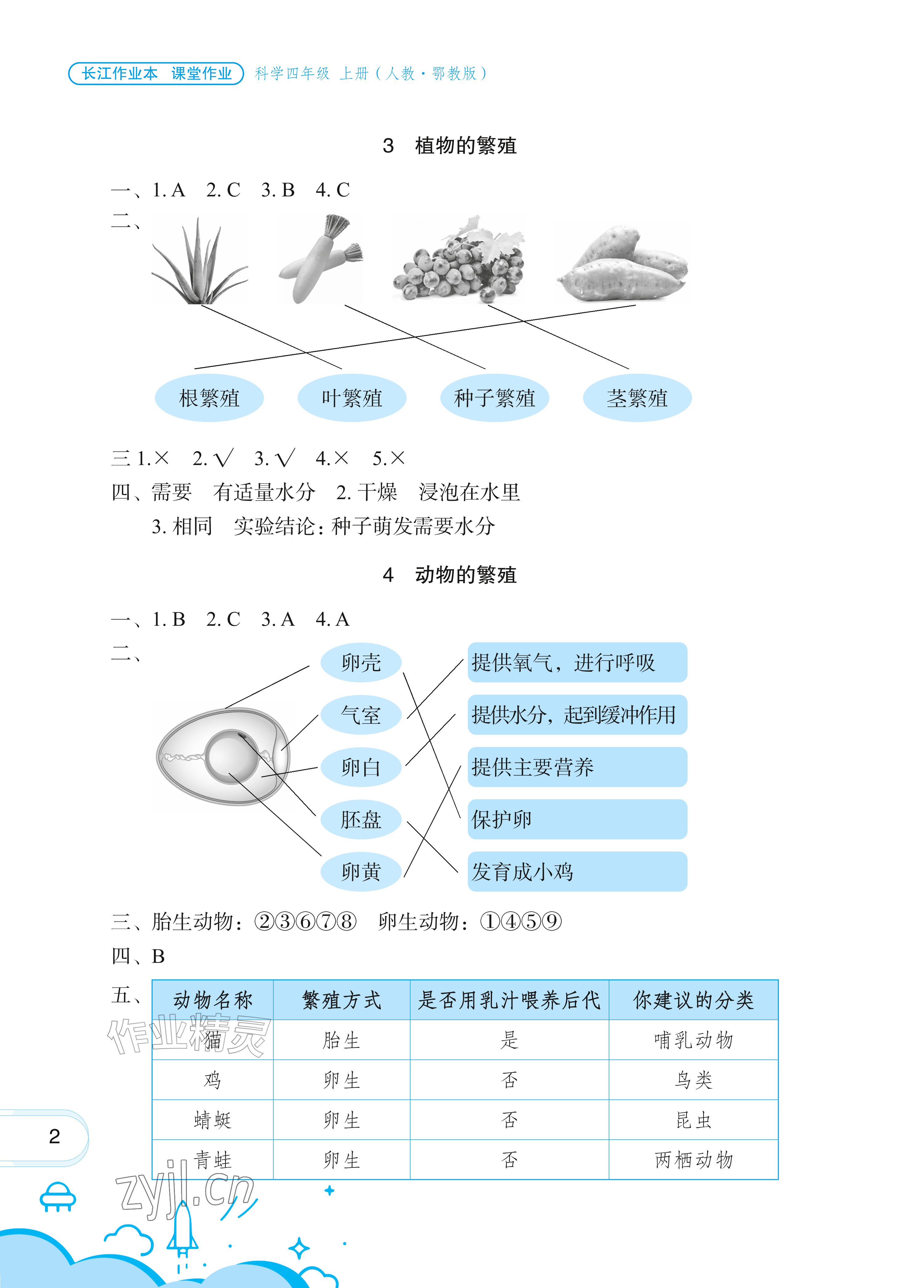 2026年长江作业本课堂作业四年级科学上册人教鄂教版&nbsp;参考答案第2页