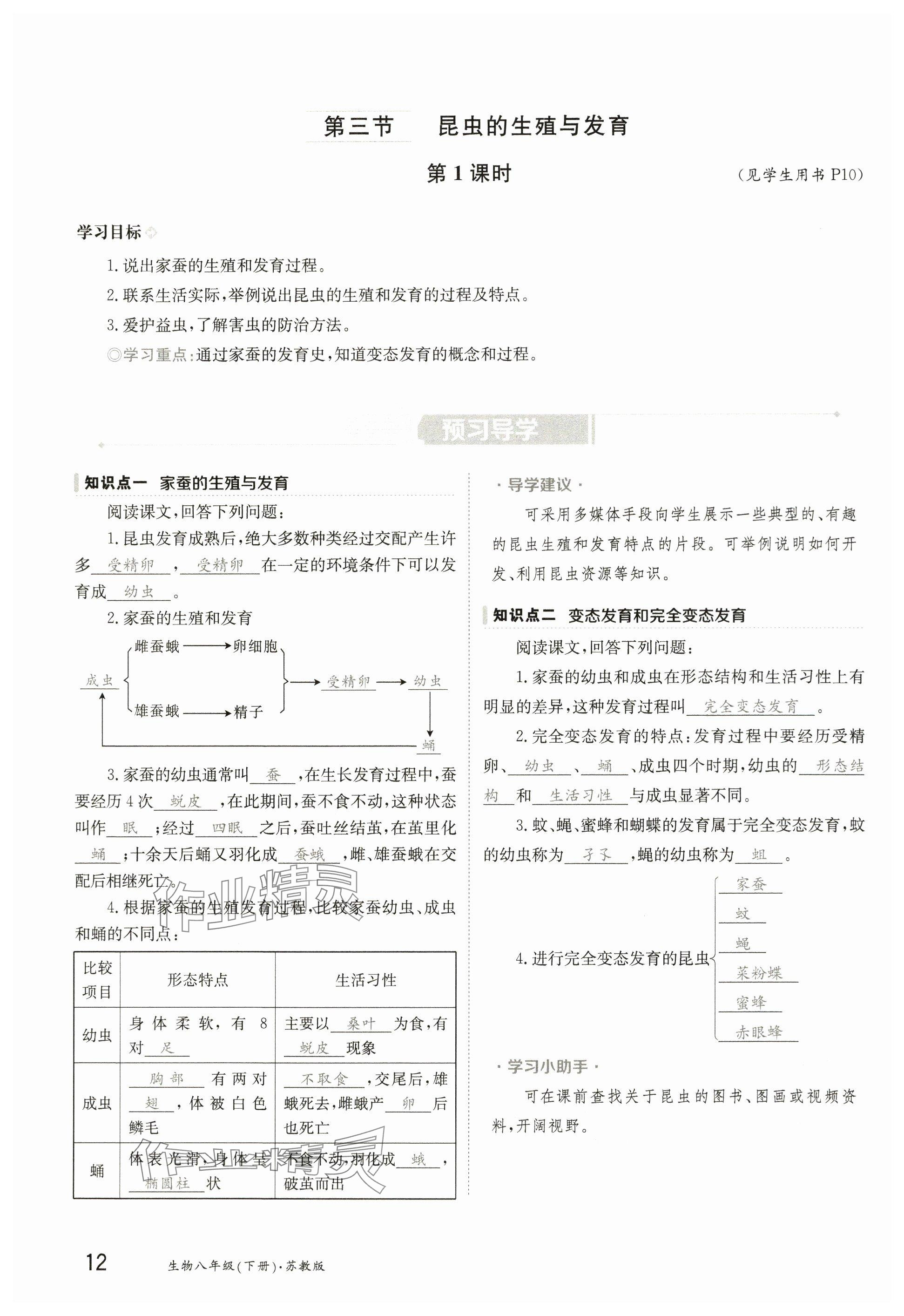 2025年金太陽導學案八年級生物下冊蘇教版 參考答案第11頁