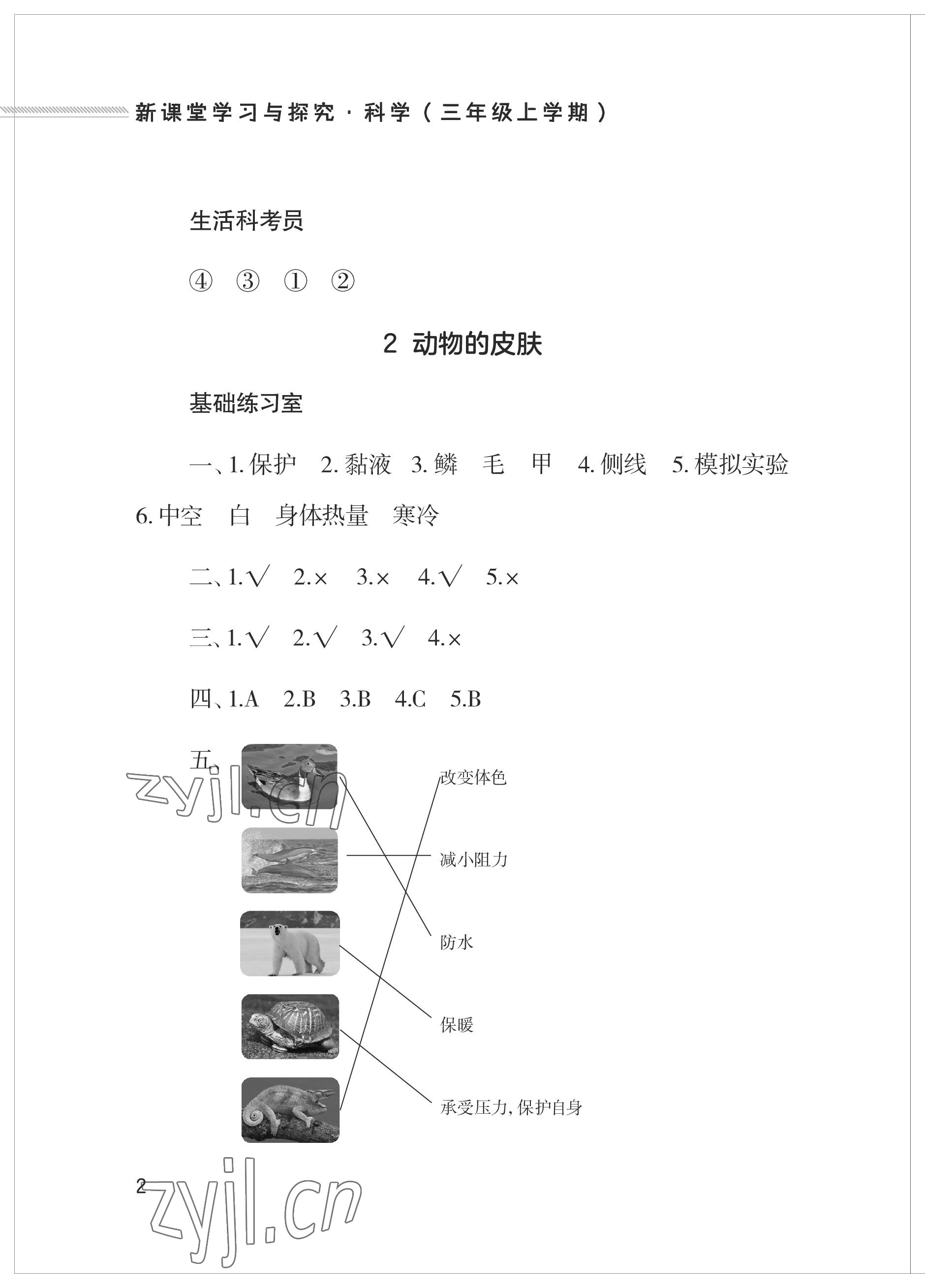 2023年新課堂學習與探究三年級科學上冊青島版 參考答案第2頁