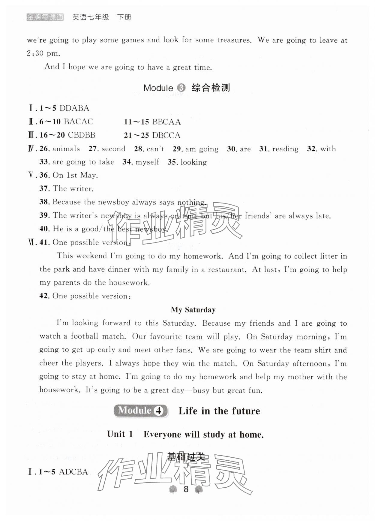 2024年點(diǎn)石成金金牌每課通七年級(jí)英語下冊(cè)外研版遼寧專版 第8頁(yè)