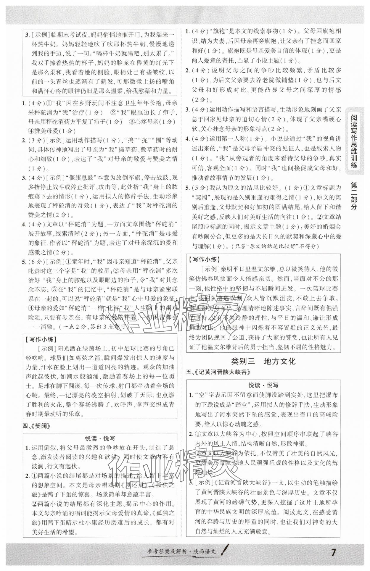 2025年一战成名新中考语文陕西专版 参考答案第6页