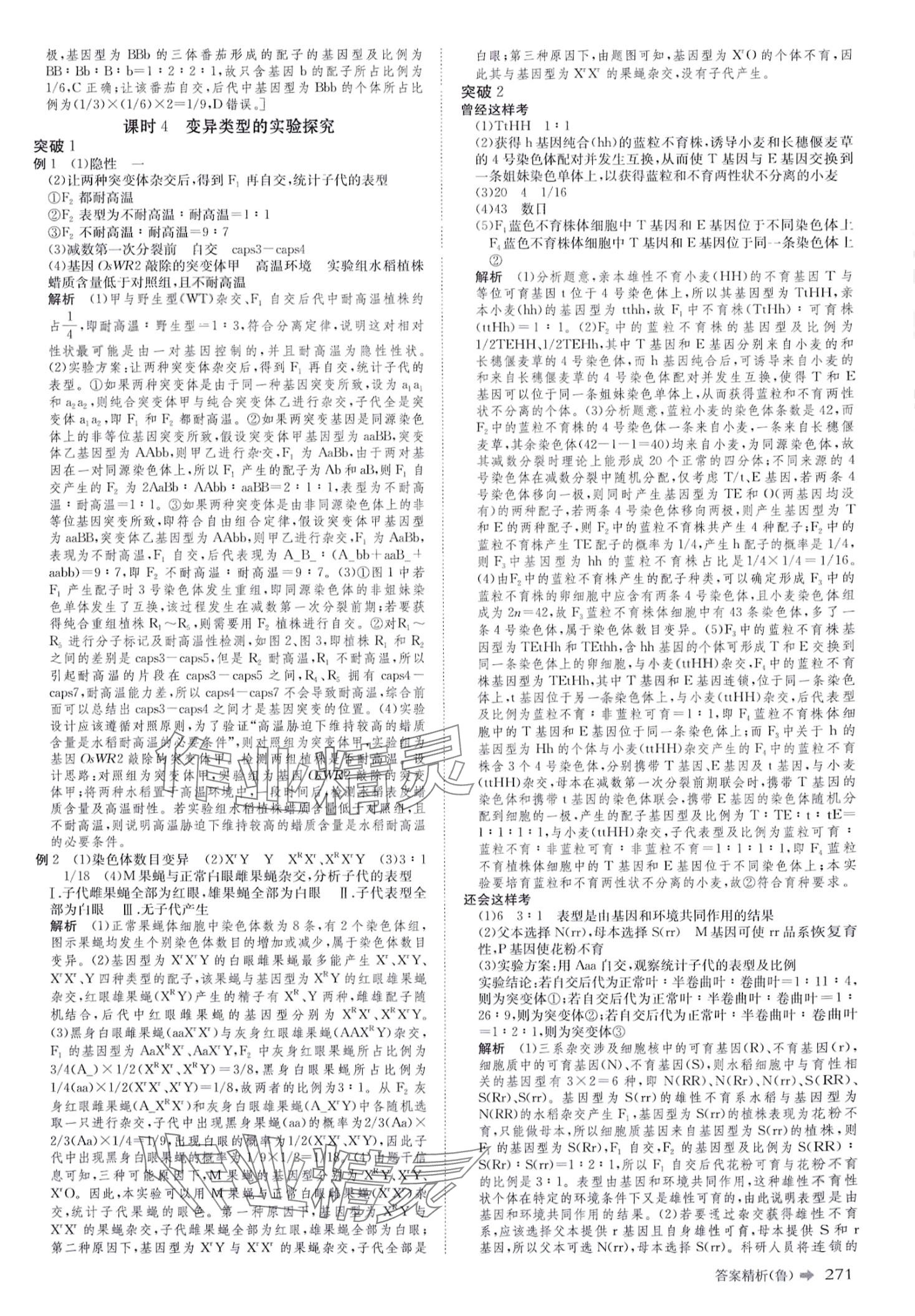 2024年創(chuàng)新設(shè)計二輪專題復(fù)習(xí)高三二輪生物 第16頁