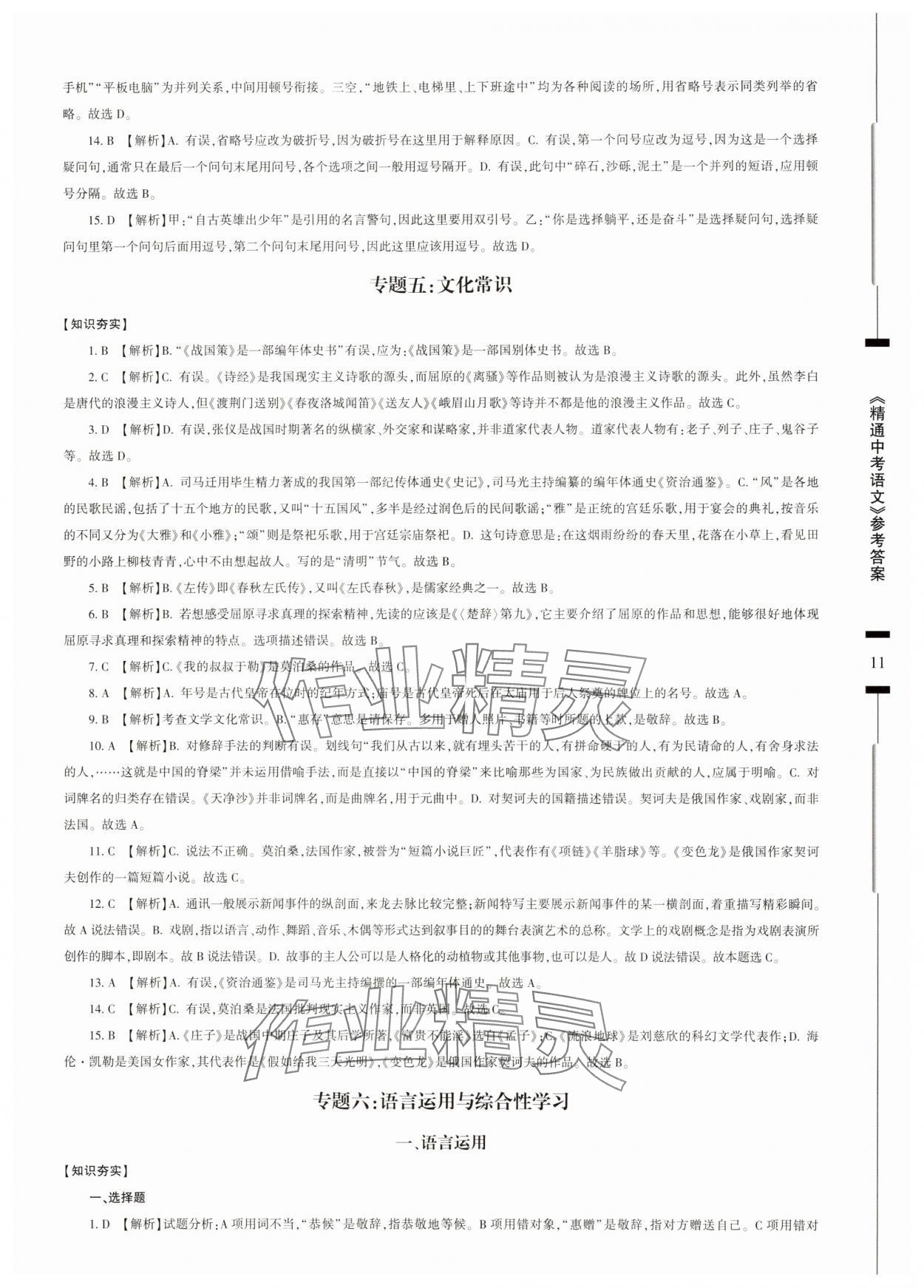 2025年精通中考語(yǔ)文基礎(chǔ)知識(shí)與試卷訓(xùn)練 參考答案第11頁(yè)