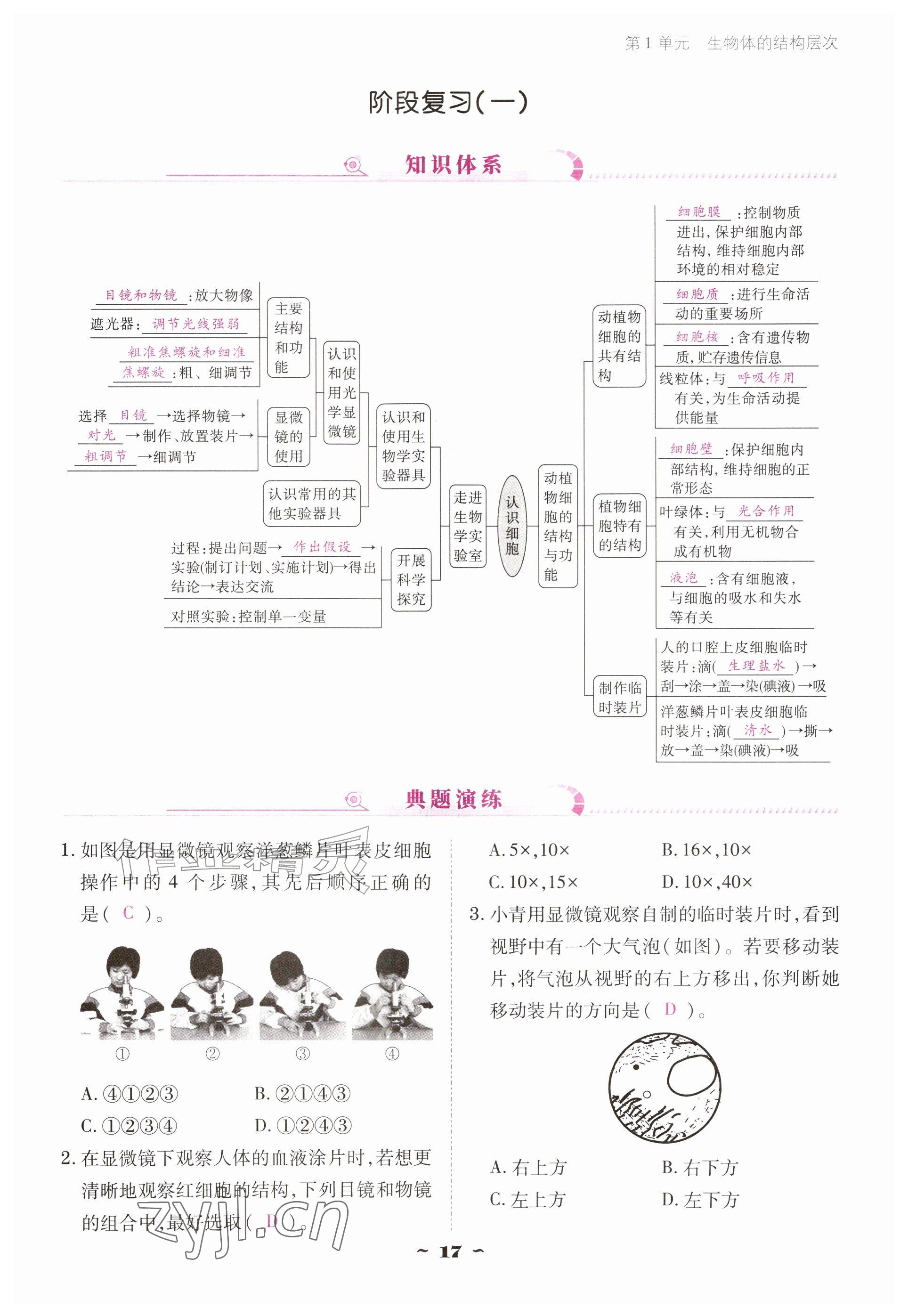 2026年云南省标准教辅优佳学案七年级历史上册人教版&nbsp;参考答案第17页