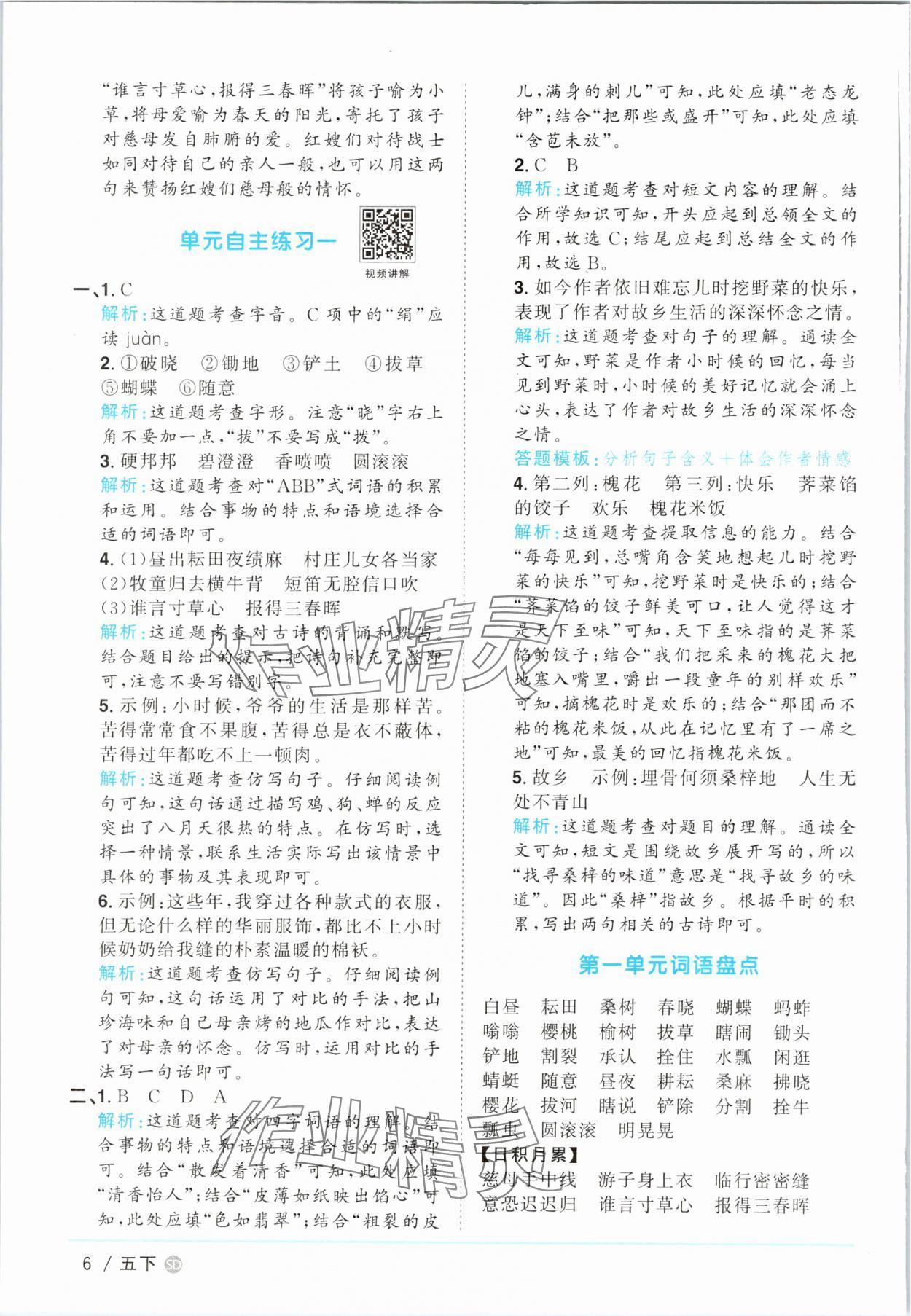 2025年陽(yáng)光同學(xué)課時(shí)優(yōu)化作業(yè)五年級(jí)語(yǔ)文下冊(cè)人教版菏澤專版 第6頁(yè)