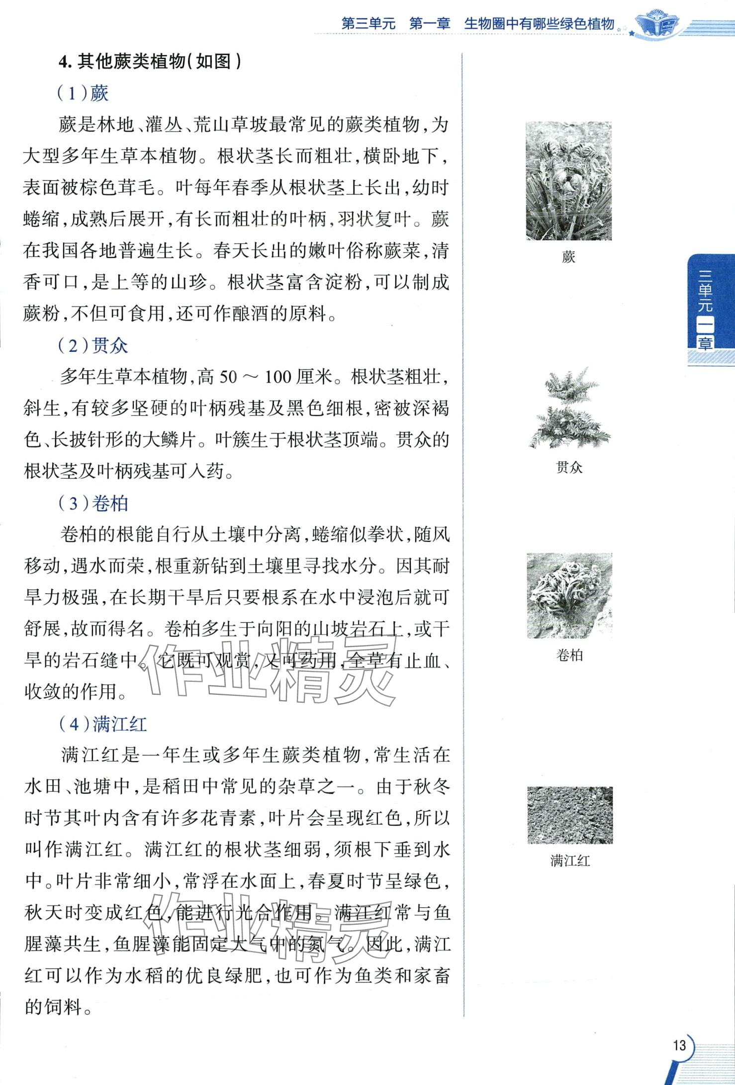 2024年教材課本六年級(jí)生物下冊(cè)魯科版 第13頁