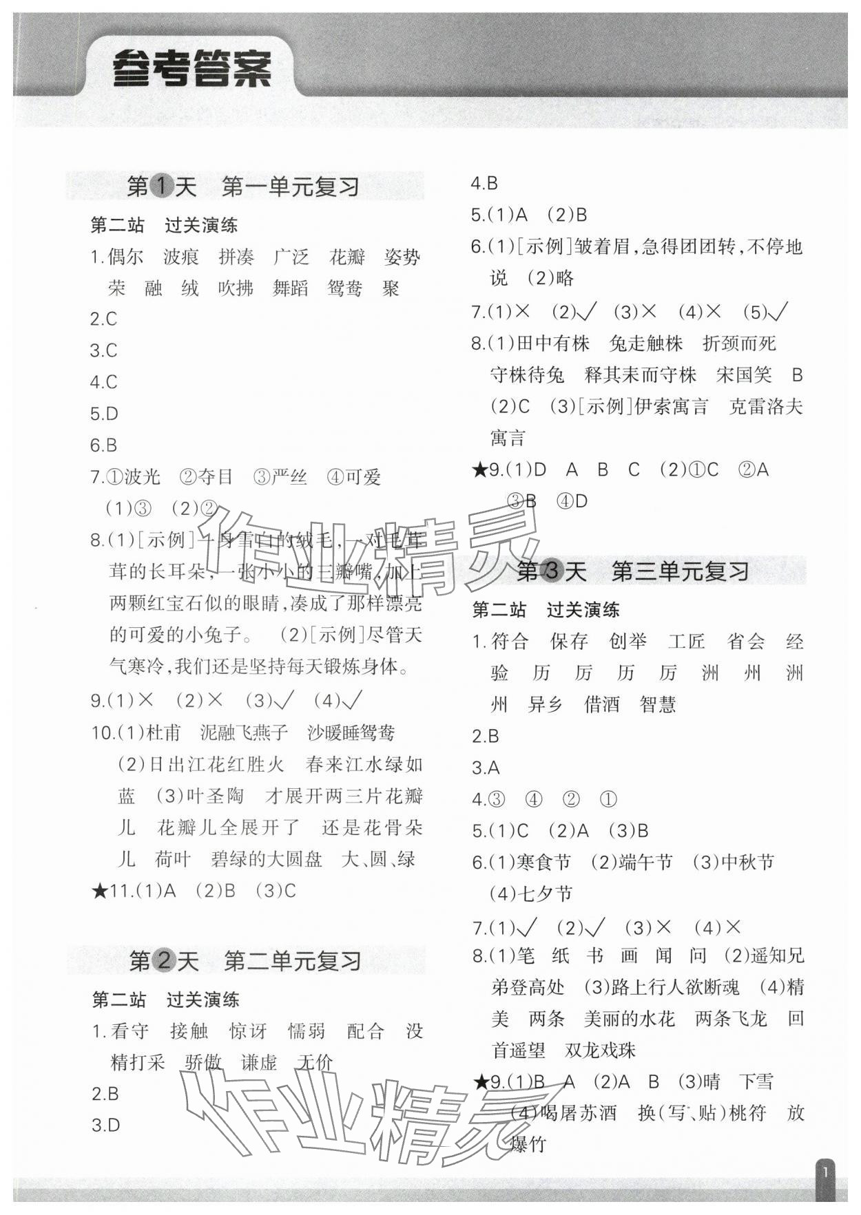 2025年核心素养天天练语文期末分项复习21天三年级下册人教版 参考答案第1页