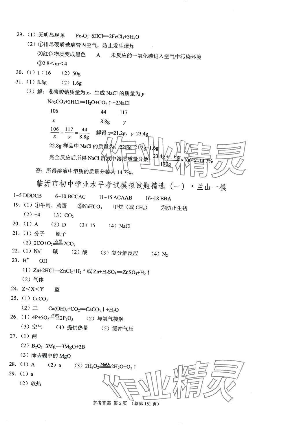 2024年中考超级模拟中考211化学临沂专版&nbsp;第5页
