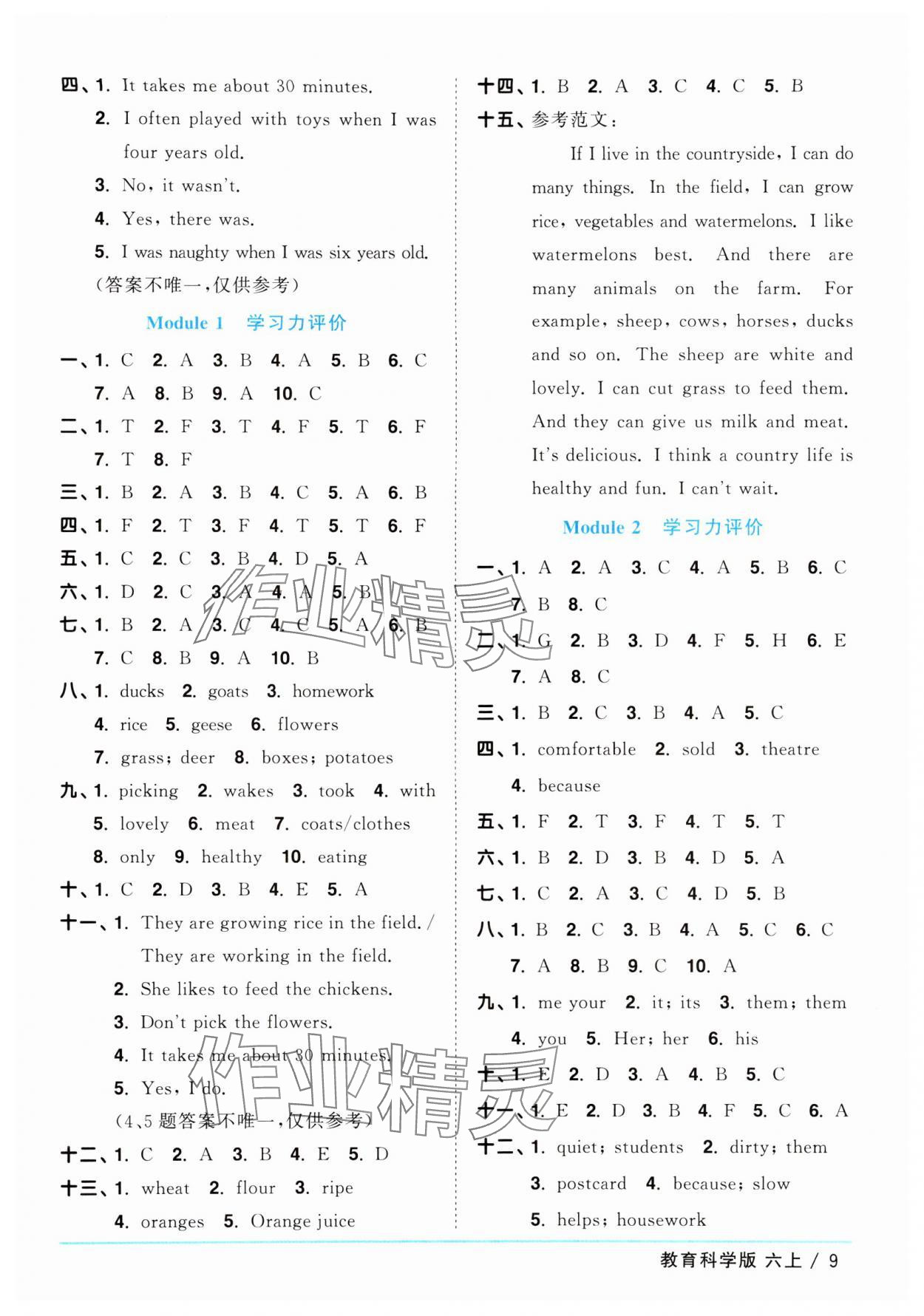 2024年陽光同學(xué)課時(shí)優(yōu)化作業(yè)六年級(jí)英語上冊(cè)教科版廣州專版 參考答案第9頁