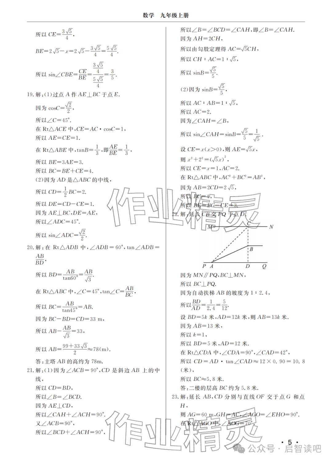 2025年同步练习册分层检测卷九年级数学上册青岛版 参考答案第5页