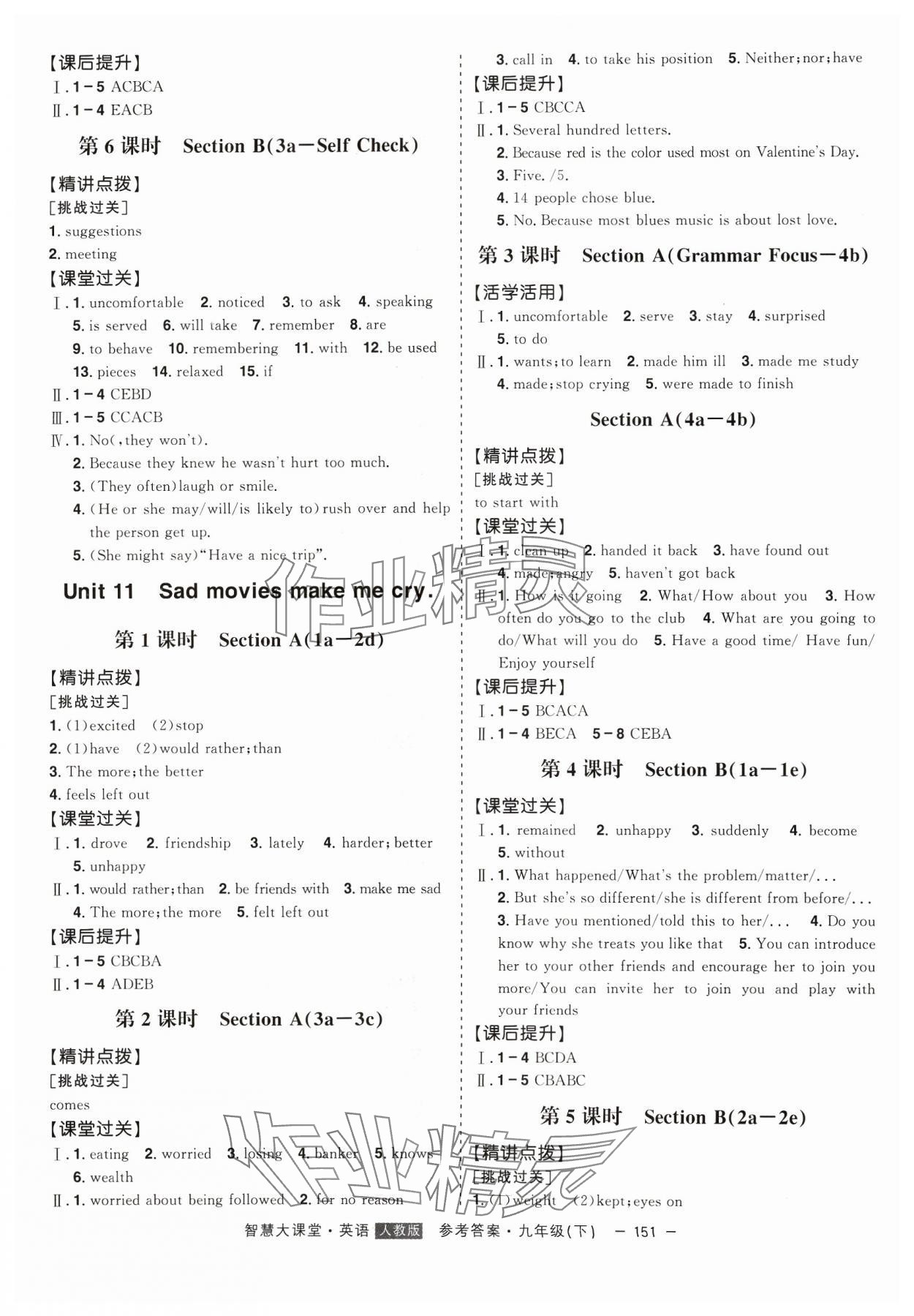 2024年初中新课标名师学案智慧大课堂九年级英语下册人教版 第3页