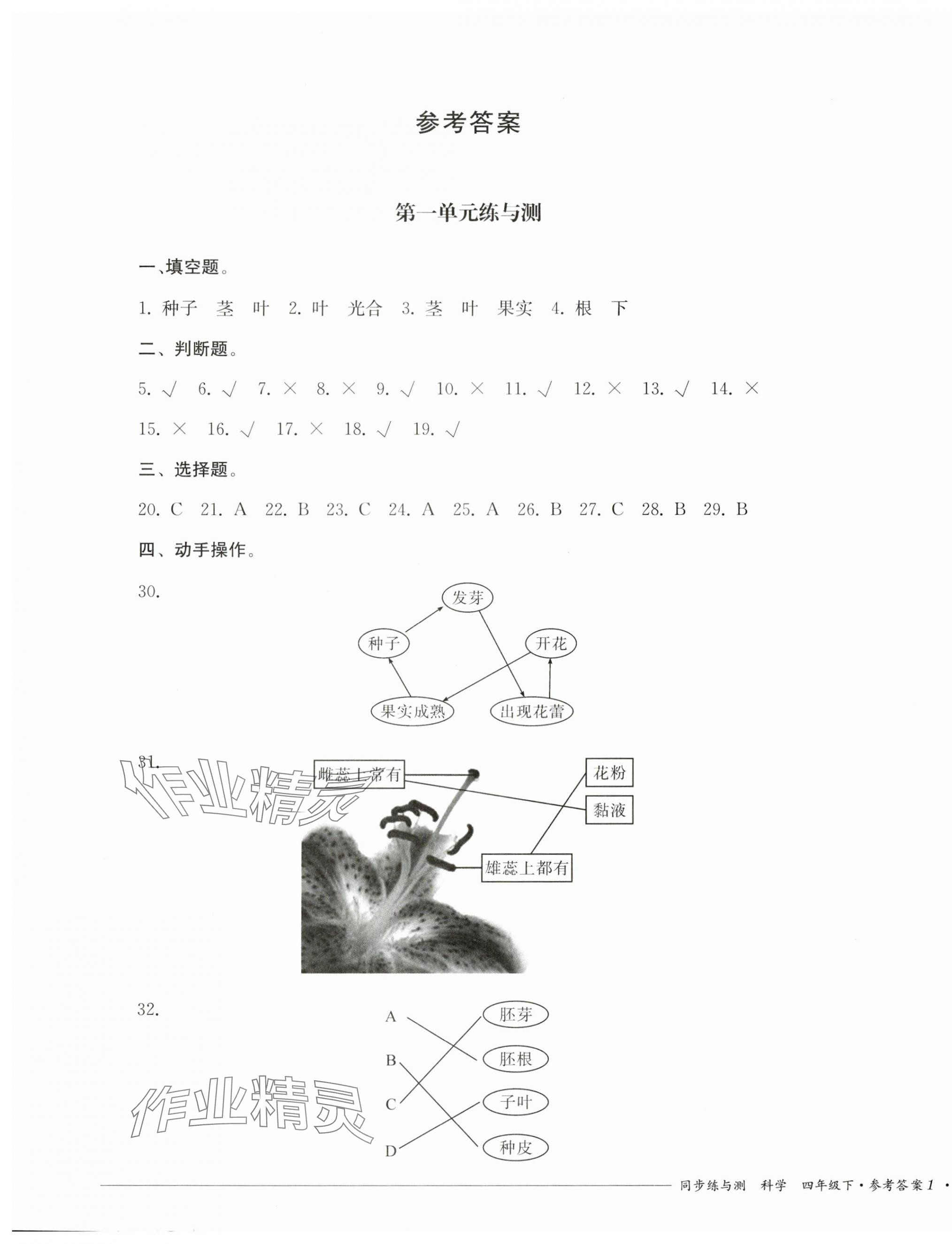 2025年同步练与测四年级科学下册教科版 第1页