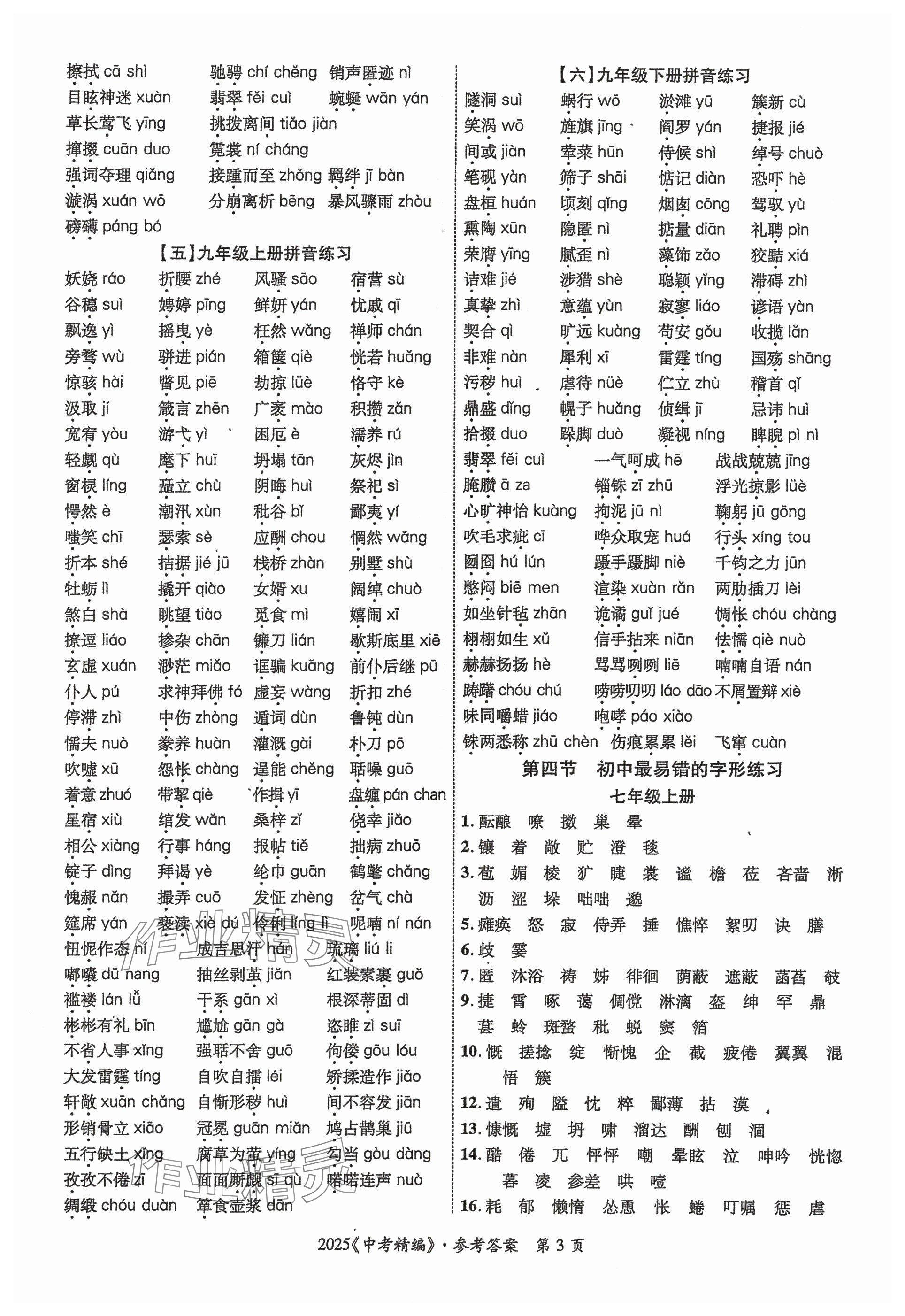 2025年中考精編語文廣東經濟出版社 參考答案第3頁