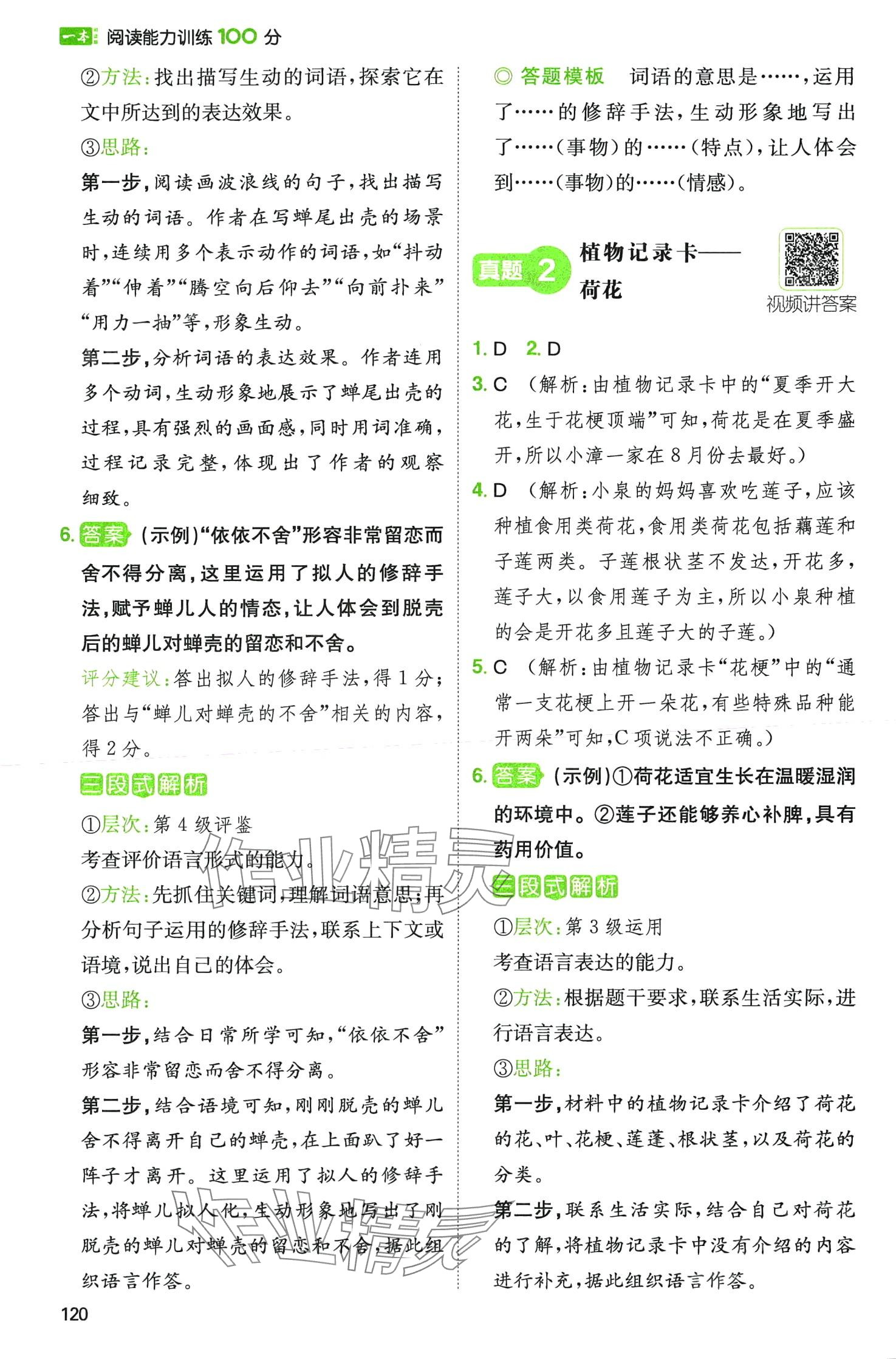 2024年一本閱讀能力訓(xùn)練100分三年級語文B福建專版 第5頁