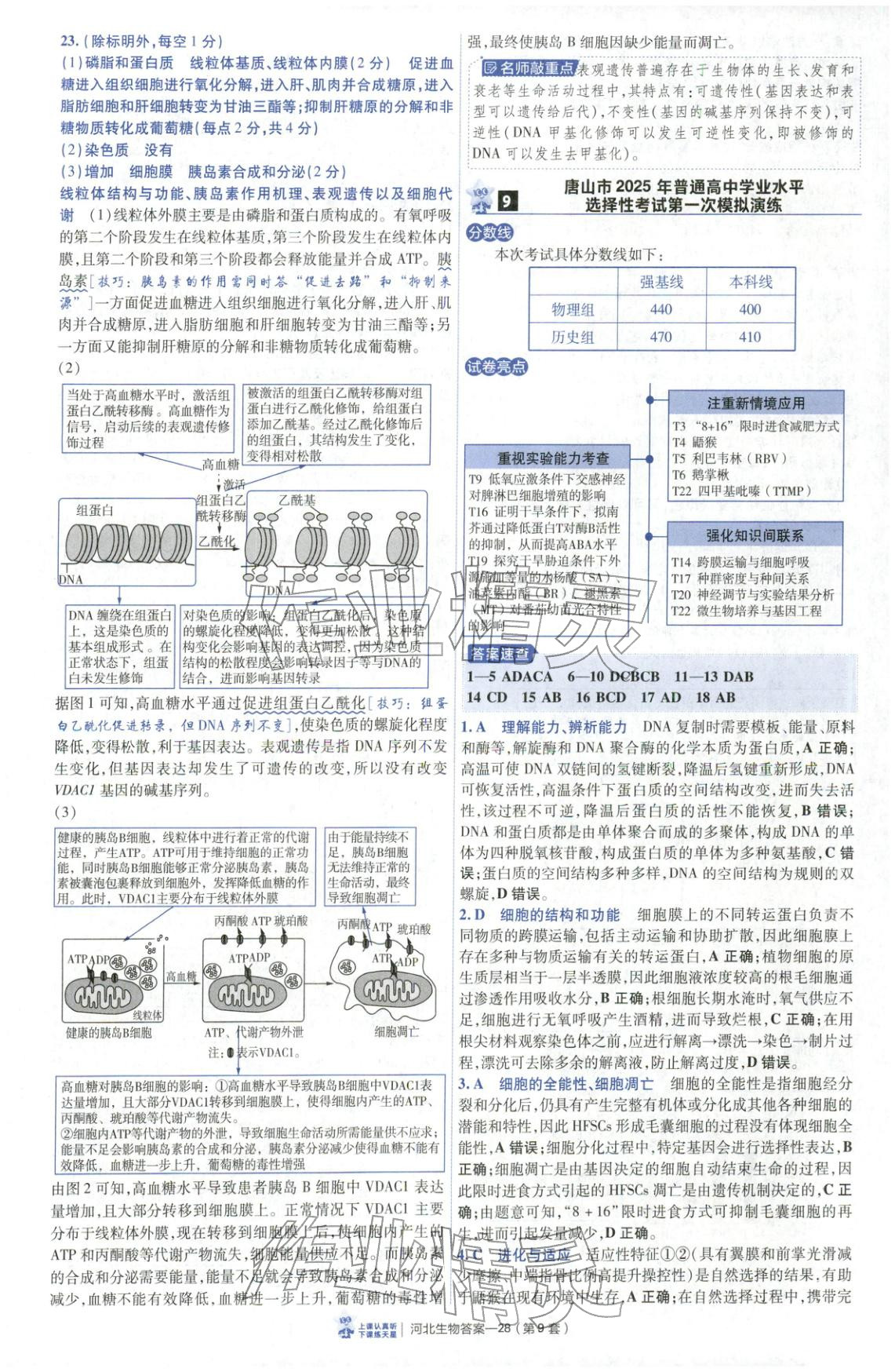 2026年金考卷优秀模拟试卷汇编45套高中生物河北专版 第28页