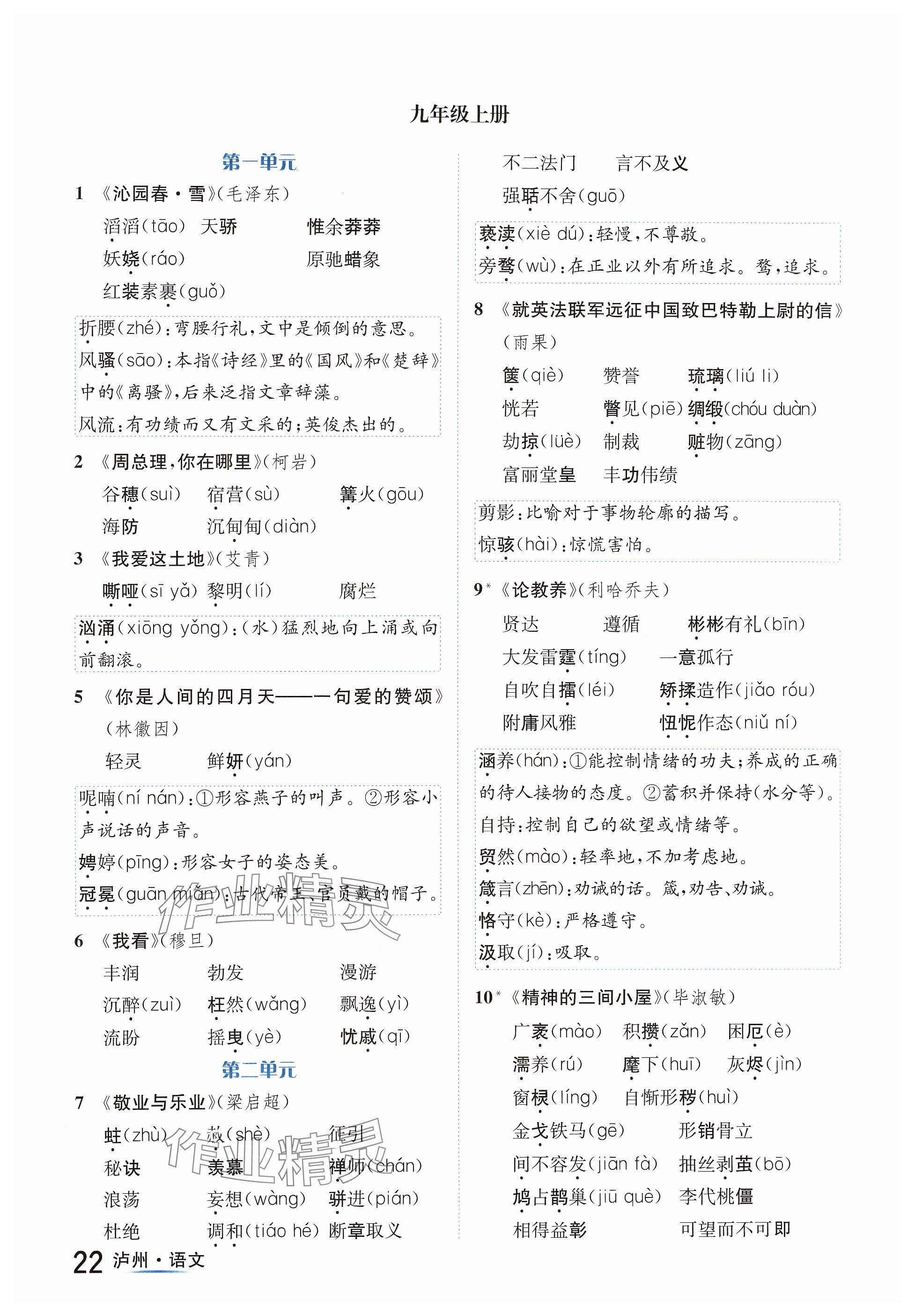 2024年国华考试中考总动员语文泸州专版 参考答案第22页