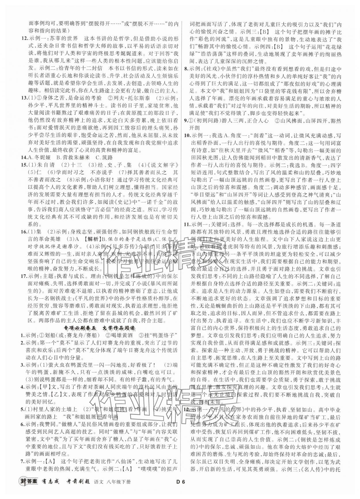 2025年有志成考前刷題八年級(jí)語(yǔ)文下冊(cè)人教版 第6頁(yè)