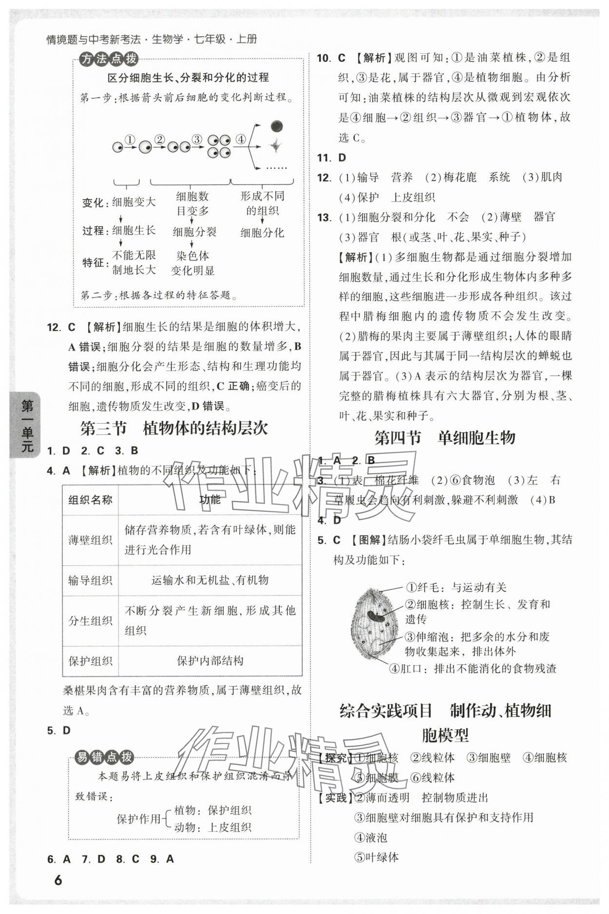 2025年萬(wàn)唯中考情境題七年級(jí)生物上冊(cè)人教版 參考答案第6頁(yè)