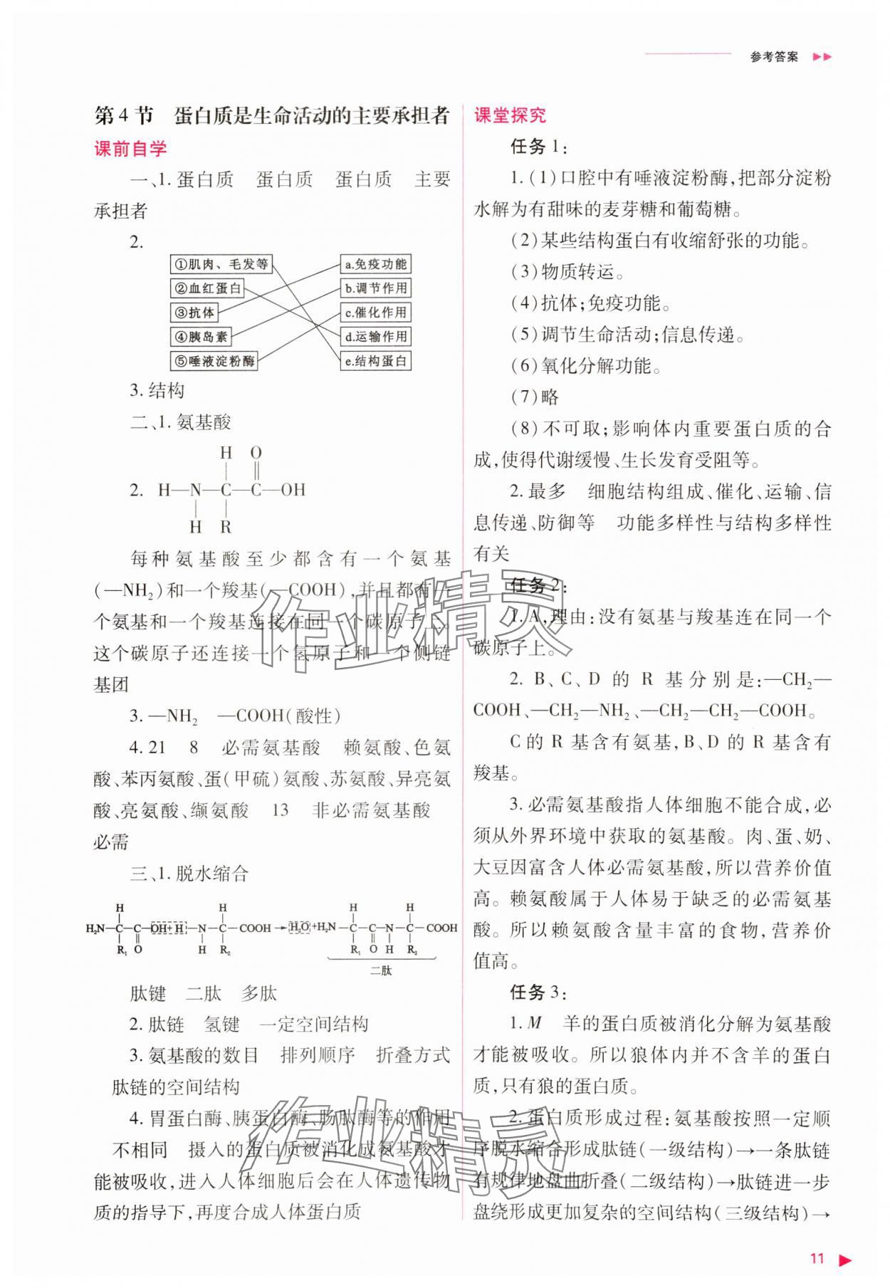 2023年普通高中新课程同步练习册高中生物必修1人教版 参考答案第11页