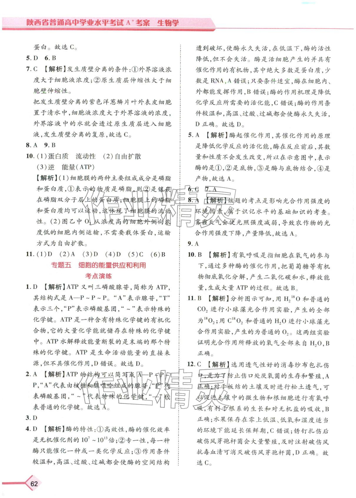 2026年普通高中学业水平考试A+考案生物陕西专版&nbsp;第5页