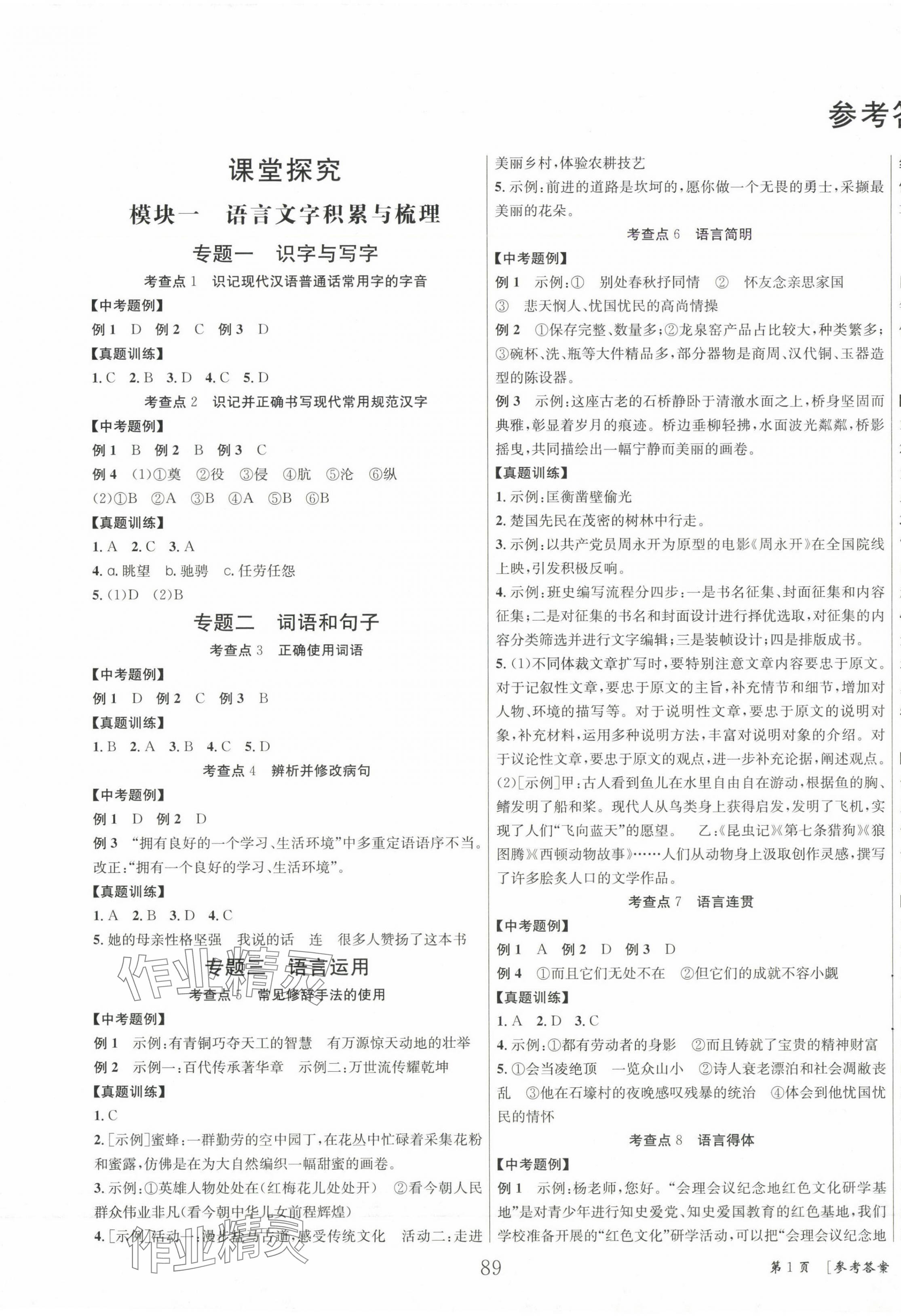 2025年全效學習中考總復習語文四川專版 第1頁