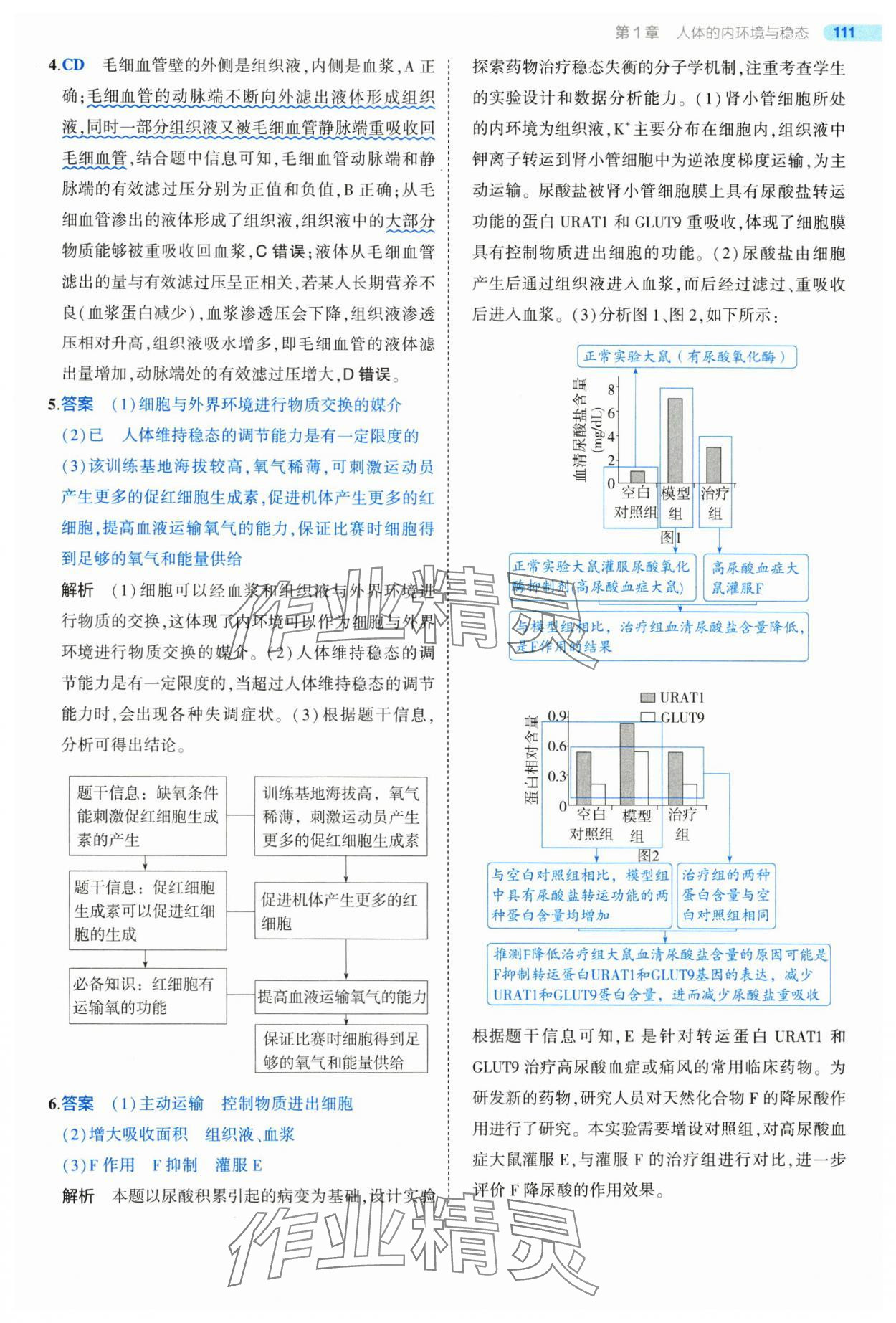 2025年5年高考3年模擬高中生物選擇性必修1人教版 第9頁