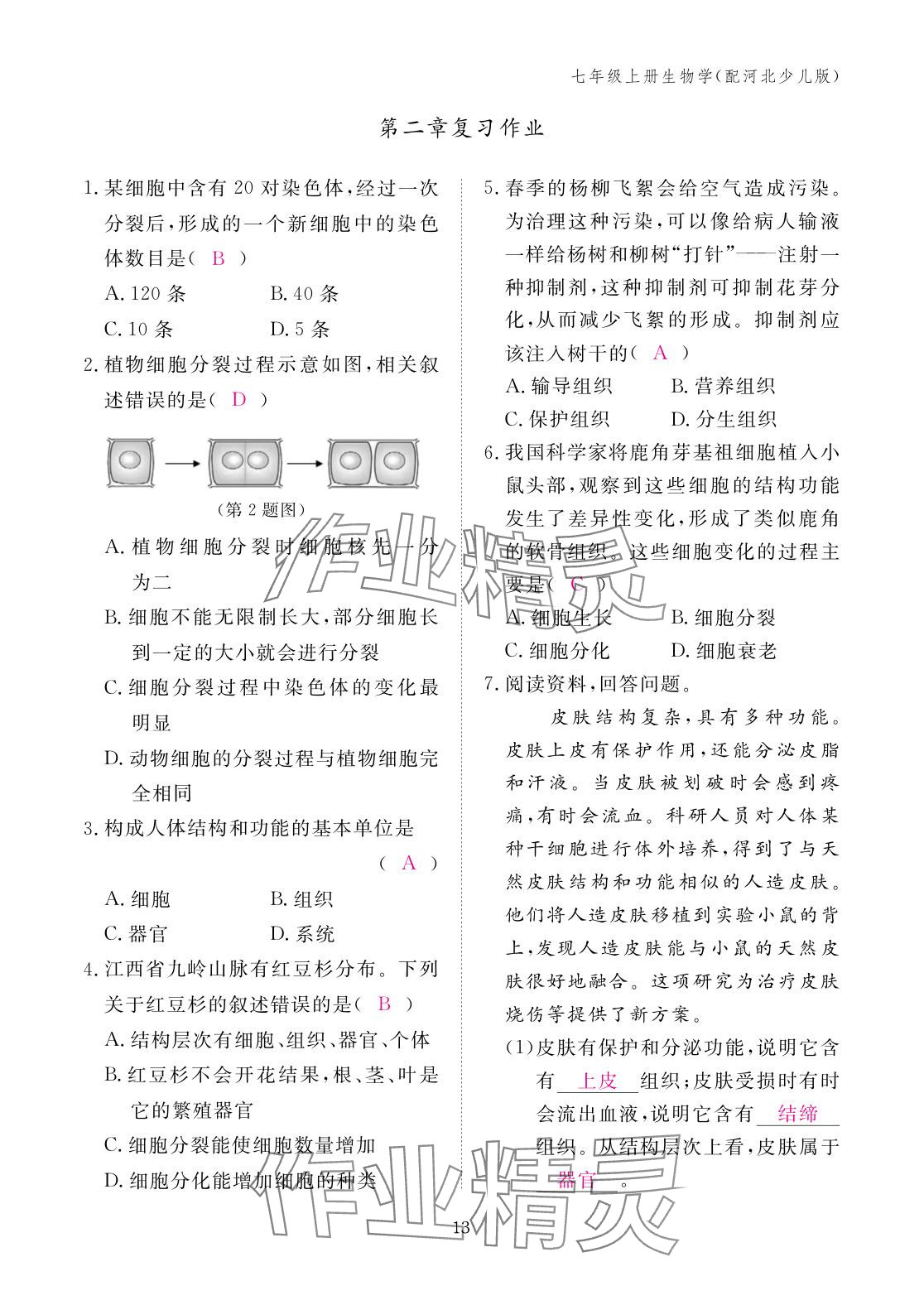 2025年作业本江西教育出版社七年级生物上册冀少版 参考答案第13页