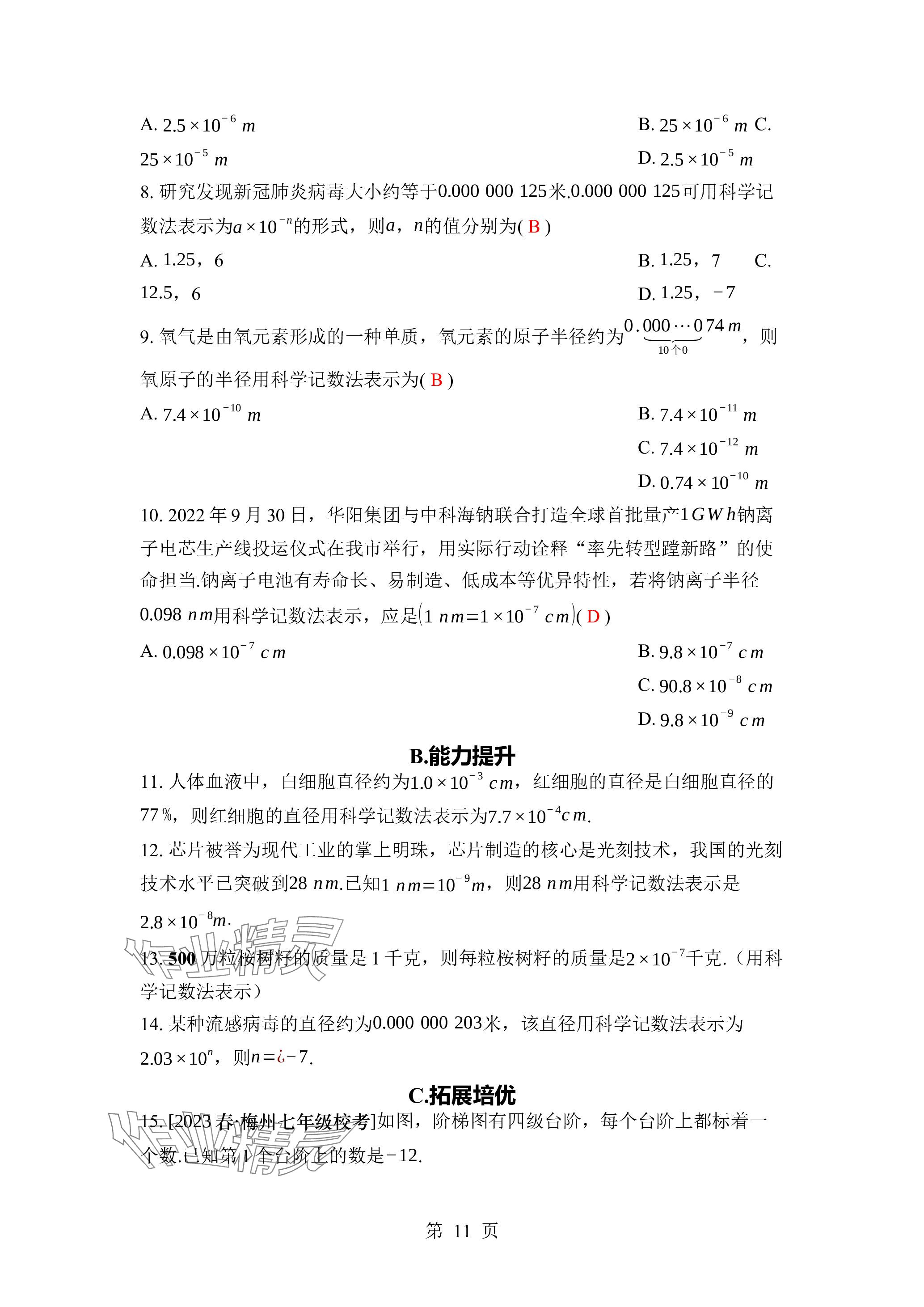 2024年廣東名師講練通七年級數學下冊北師大版深圳專版 參考答案第11頁