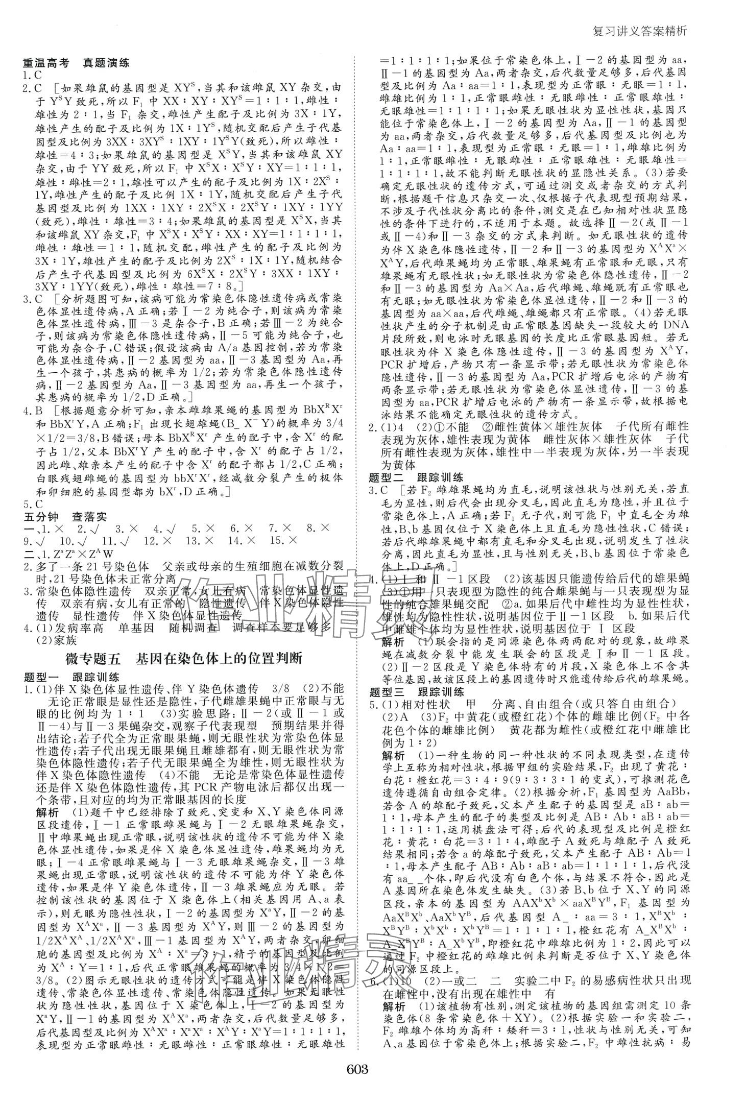 2024年步步高高考總復習大一輪復習講義高中生物通用版 第19頁