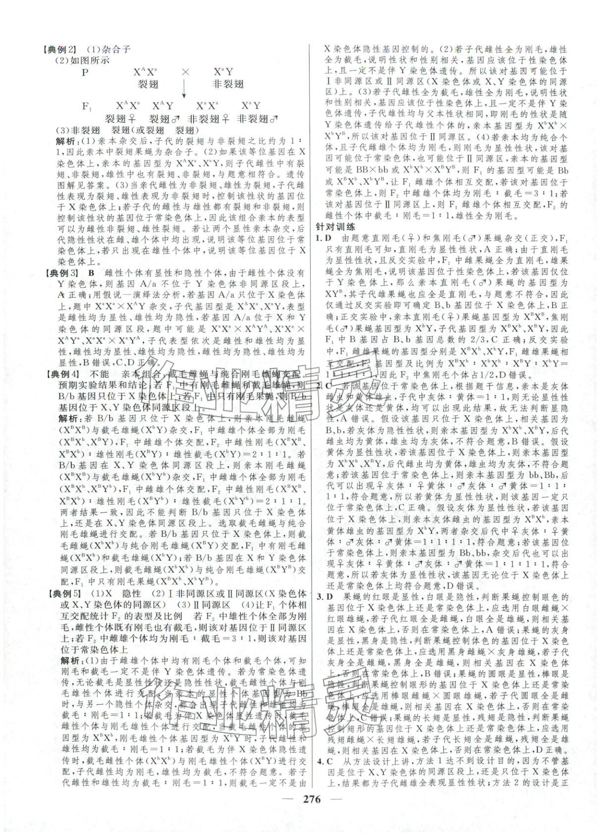 2025年三维设计高中生物必修第二册通&nbsp;第12页