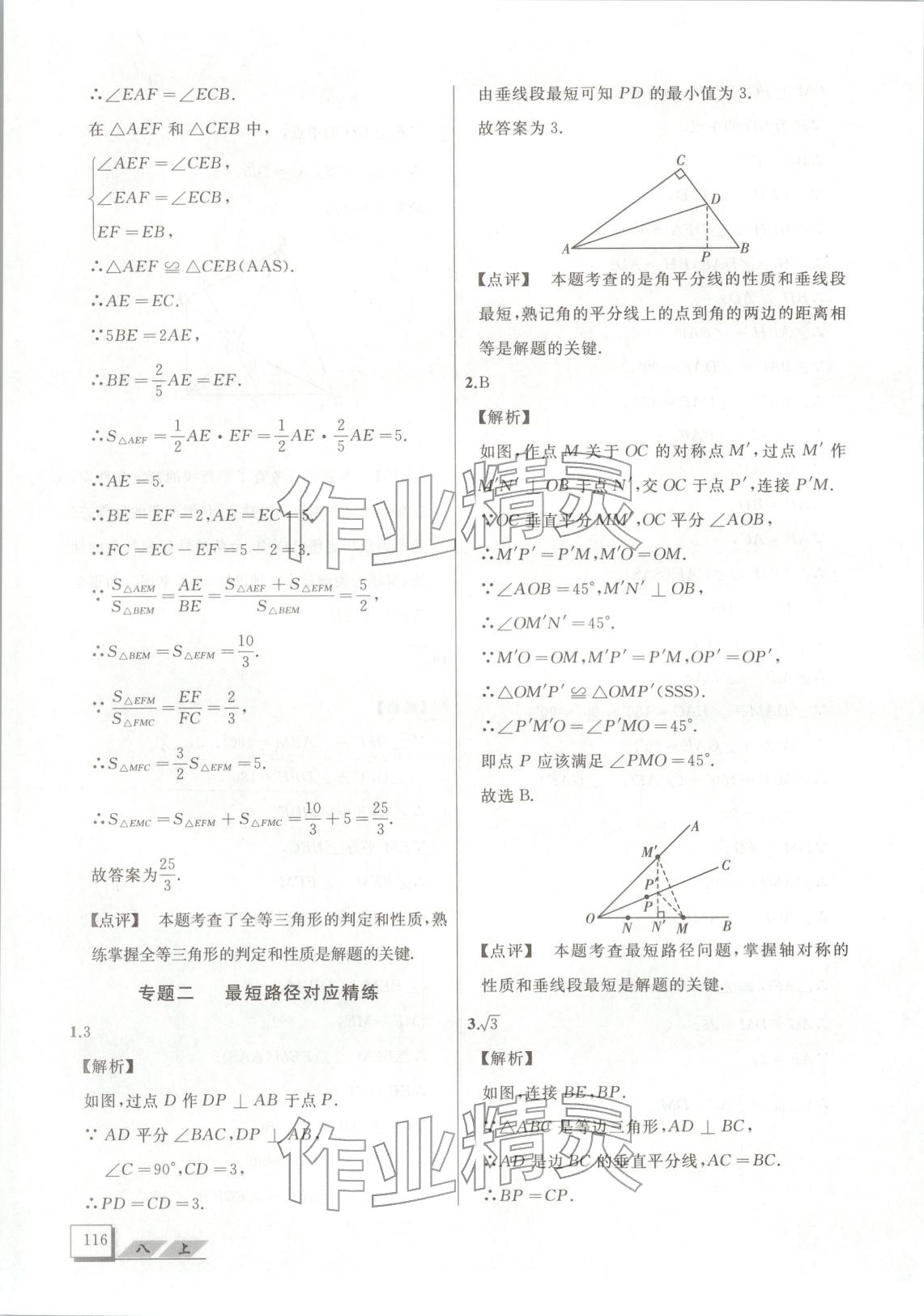 2025年压轴题八年级数学上册人教版&nbsp;第9页