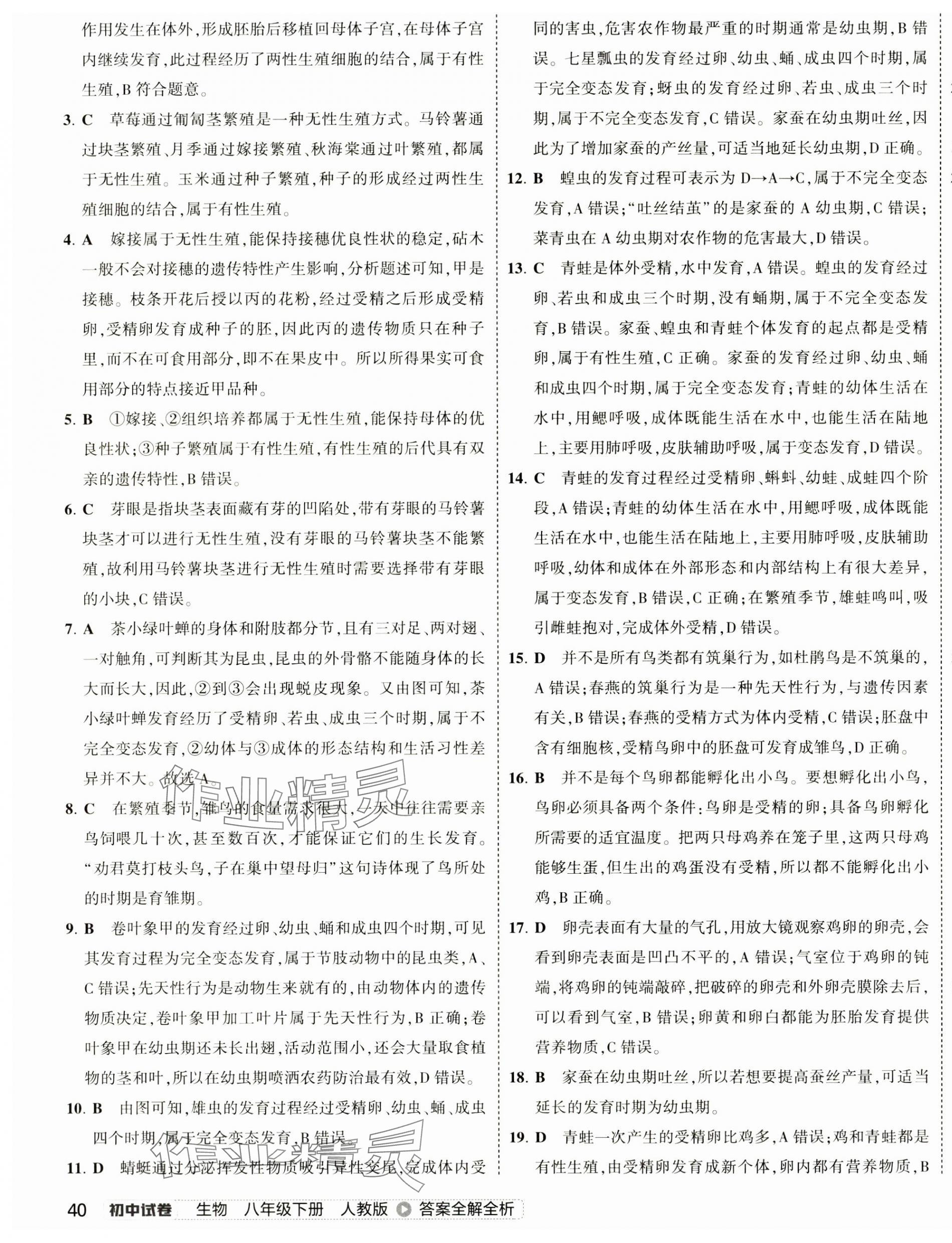 2025年5年中考3年模擬初中試卷八年級(jí)生物下冊(cè)人教版 第3頁