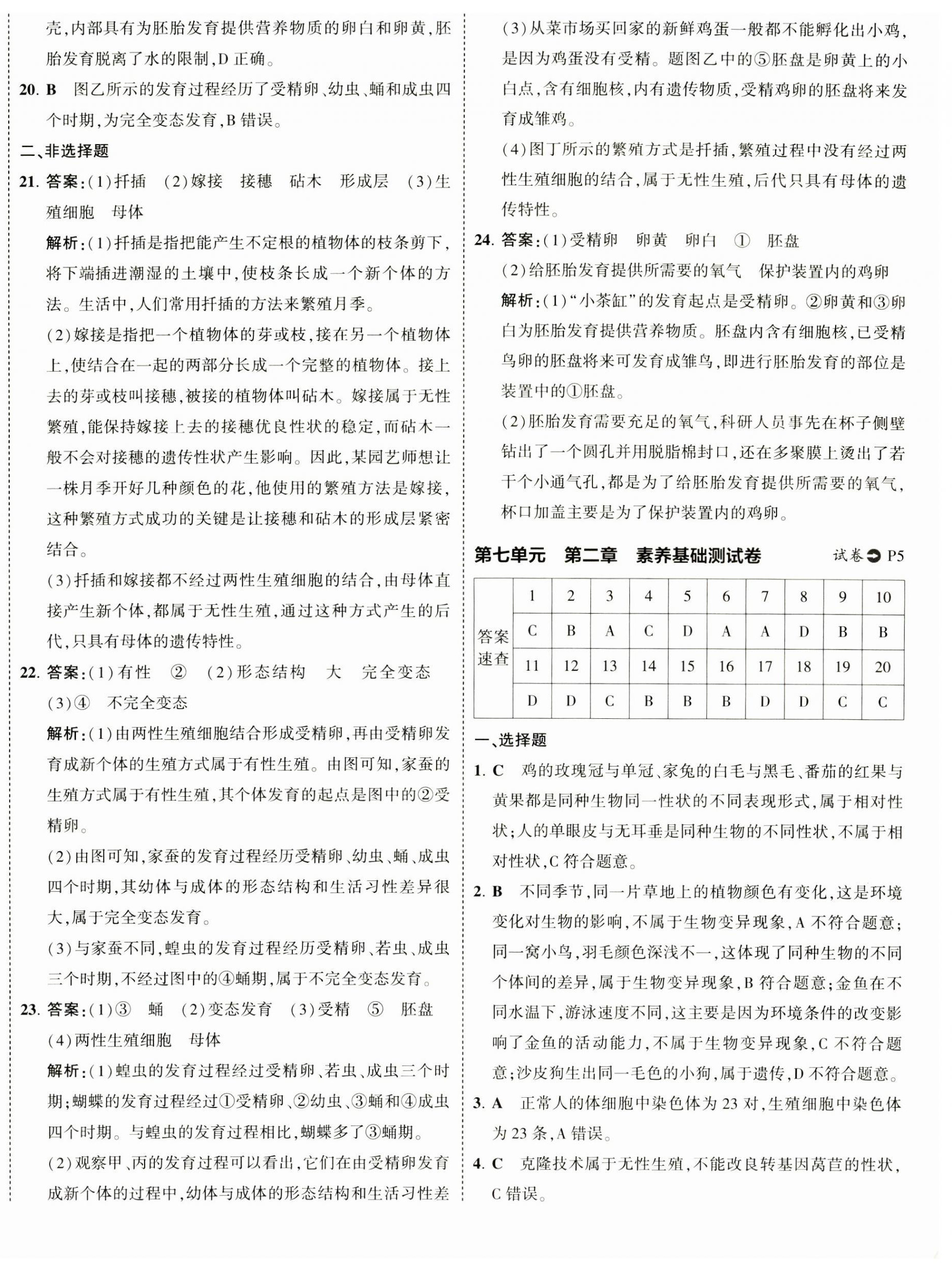 2025年5年中考3年模擬初中試卷八年級(jí)生物下冊人教版 第4頁