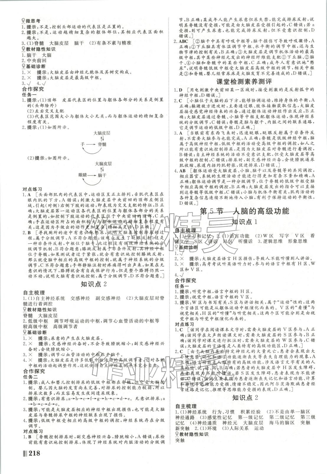 2025年非常学案高中生物选择性必修第一册人教版 第6页