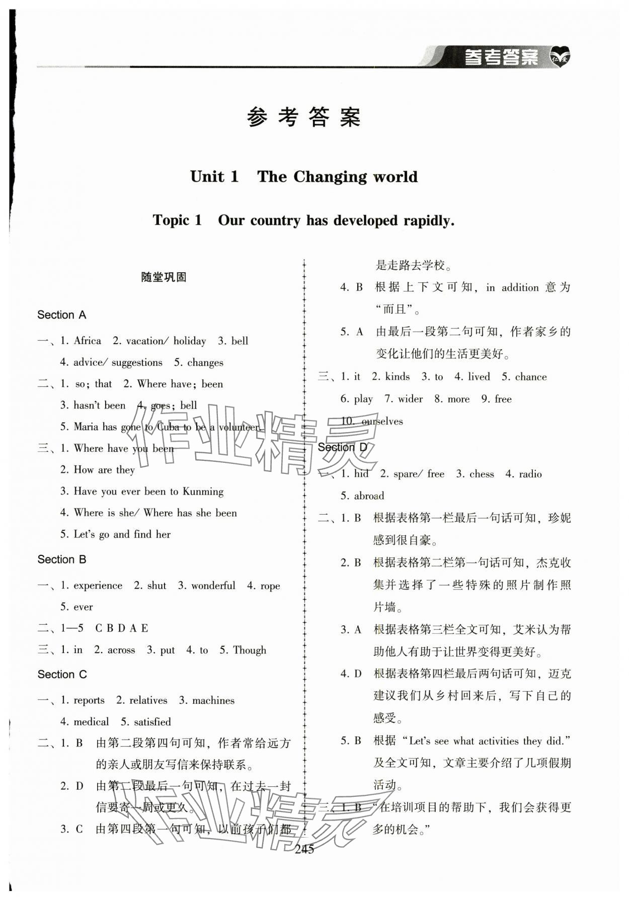 2025年仁爱英语同步练习册九年级全一册仁爱版河南专版 第1页