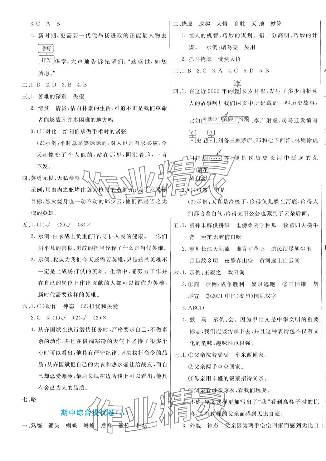 2024年亮點(diǎn)激活提優(yōu)大試卷五年級(jí)語文下冊人教版 第5頁