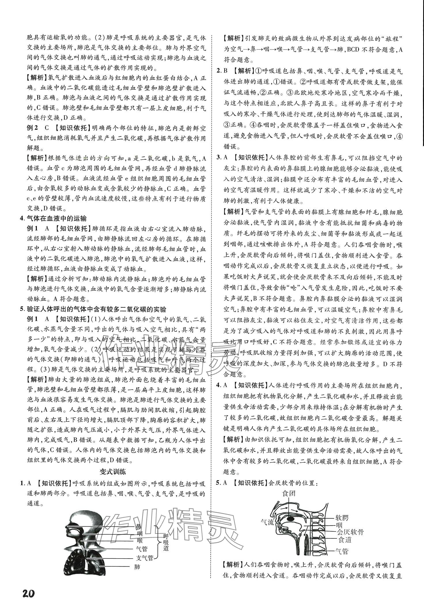 2024年一步名校中考总复习生物&nbsp;第20页