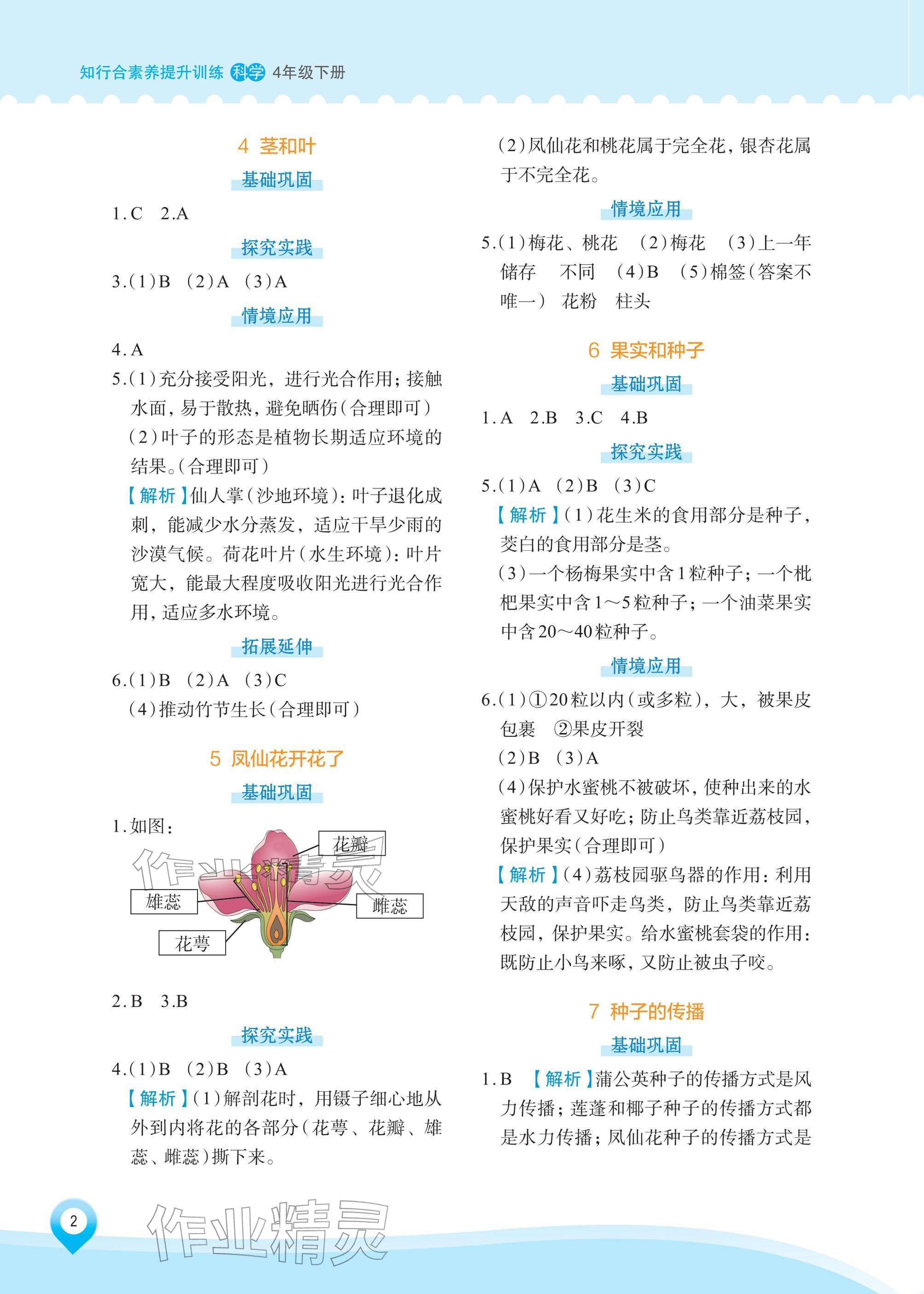 2026年知行合素养提升训练四年级科学下册教科版&nbsp;参考答案第2页