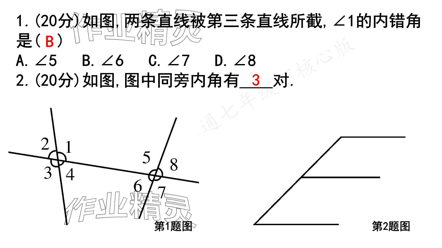 2025年一本通武漢出版社七年級數(shù)學(xué)下冊北師大版核心版 參考答案第61頁
