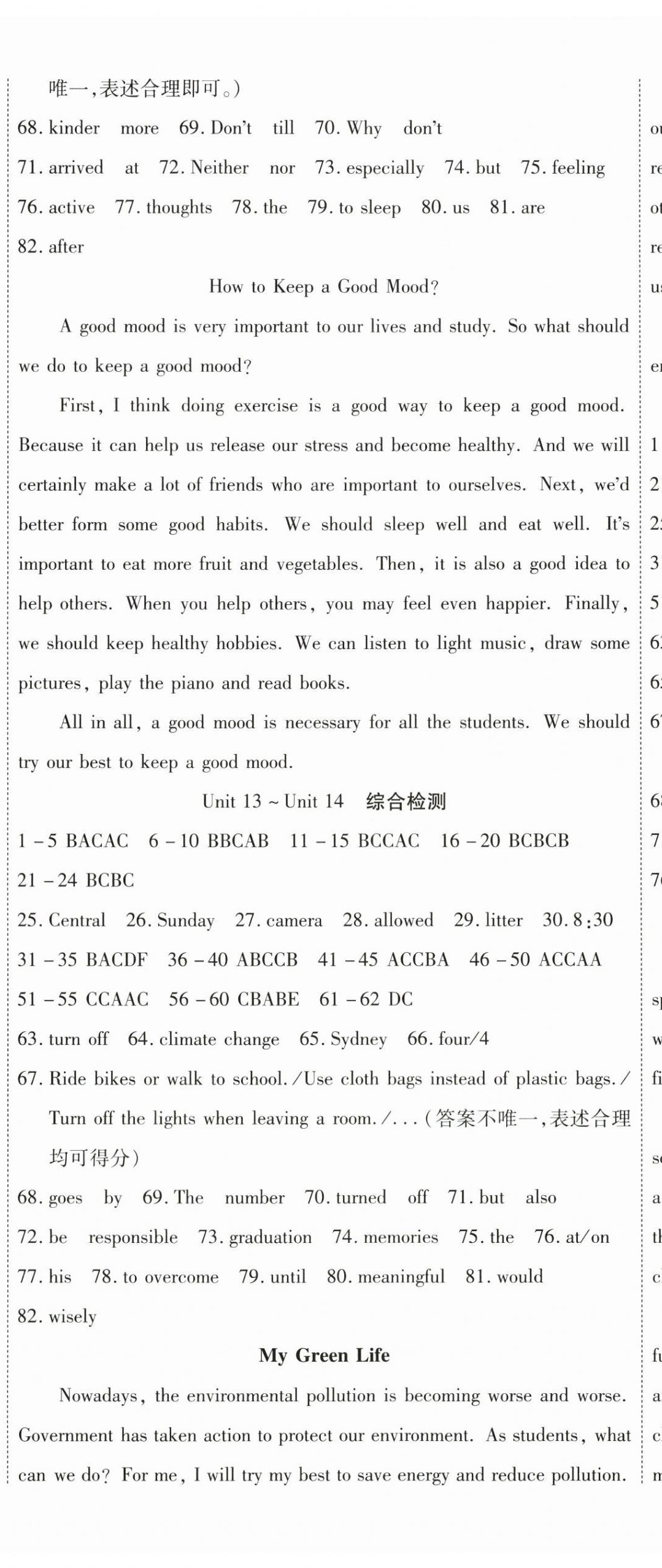 2025年暢行課堂九年級英語全一冊人教版貴州專版 第29頁
