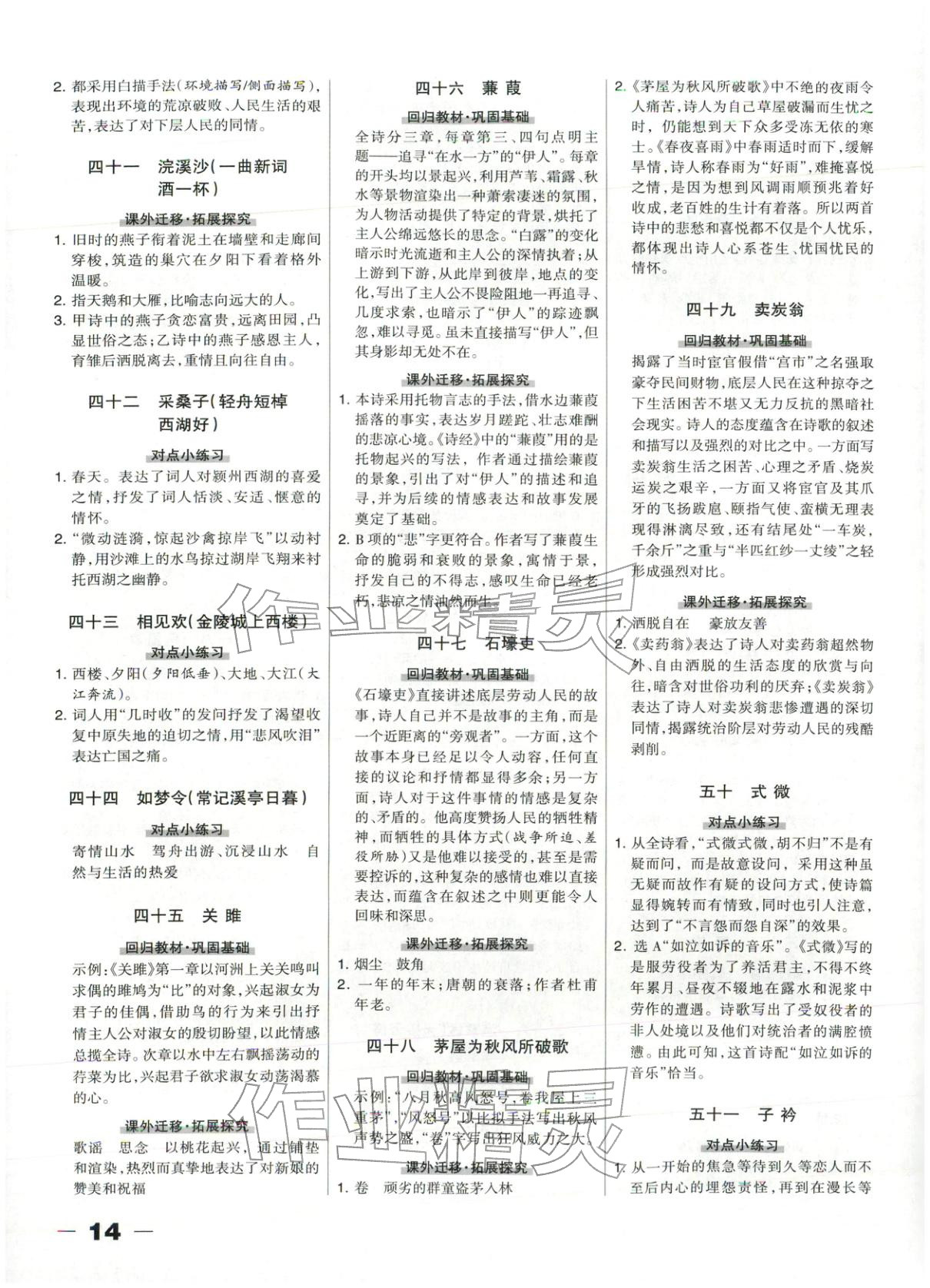 2025年中教萬聯(lián)中考總動員九年級語文河北專版 第14頁