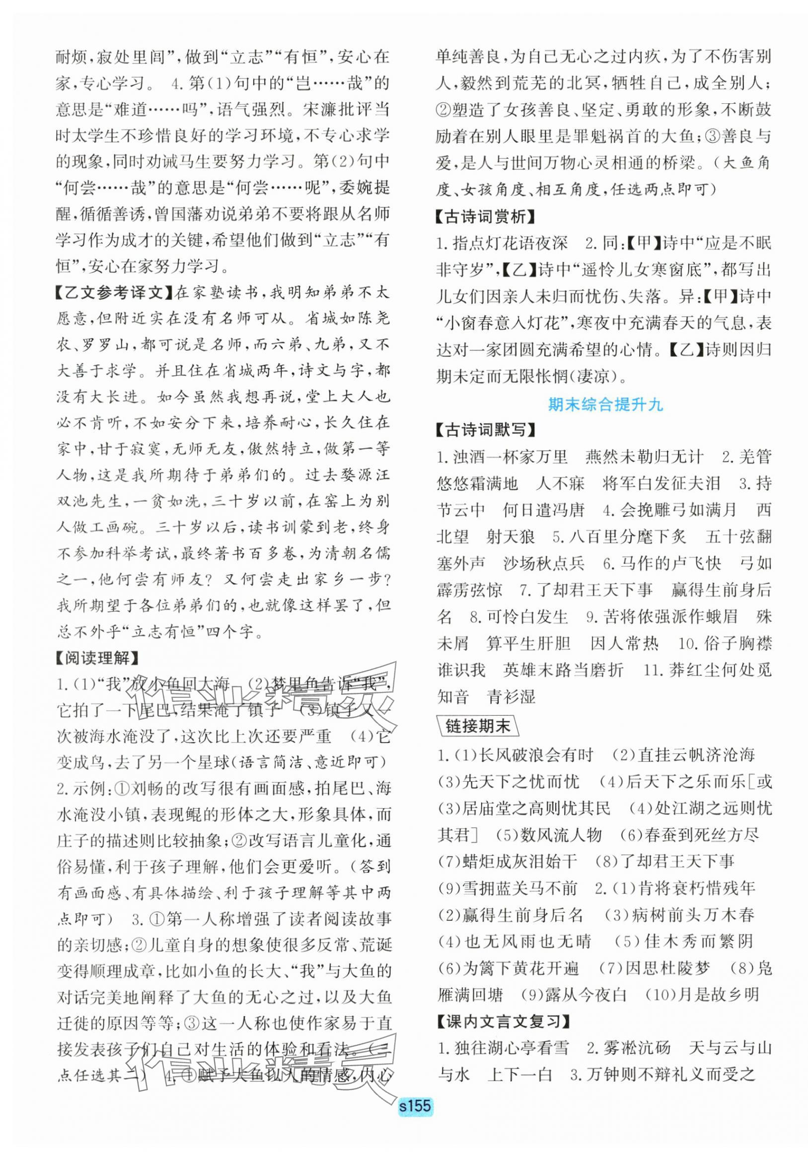 2025年初中全程階段測(cè)評(píng)卷九年級(jí)語(yǔ)文上冊(cè)人教版 第11頁(yè)